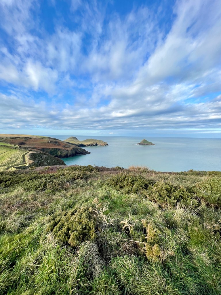 National Trust the rumps Pentire Headland Cornwall Wadebridge