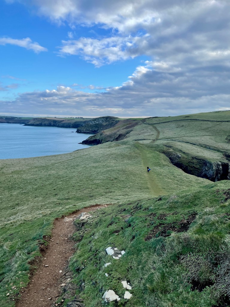 The rumps headland Cornwall