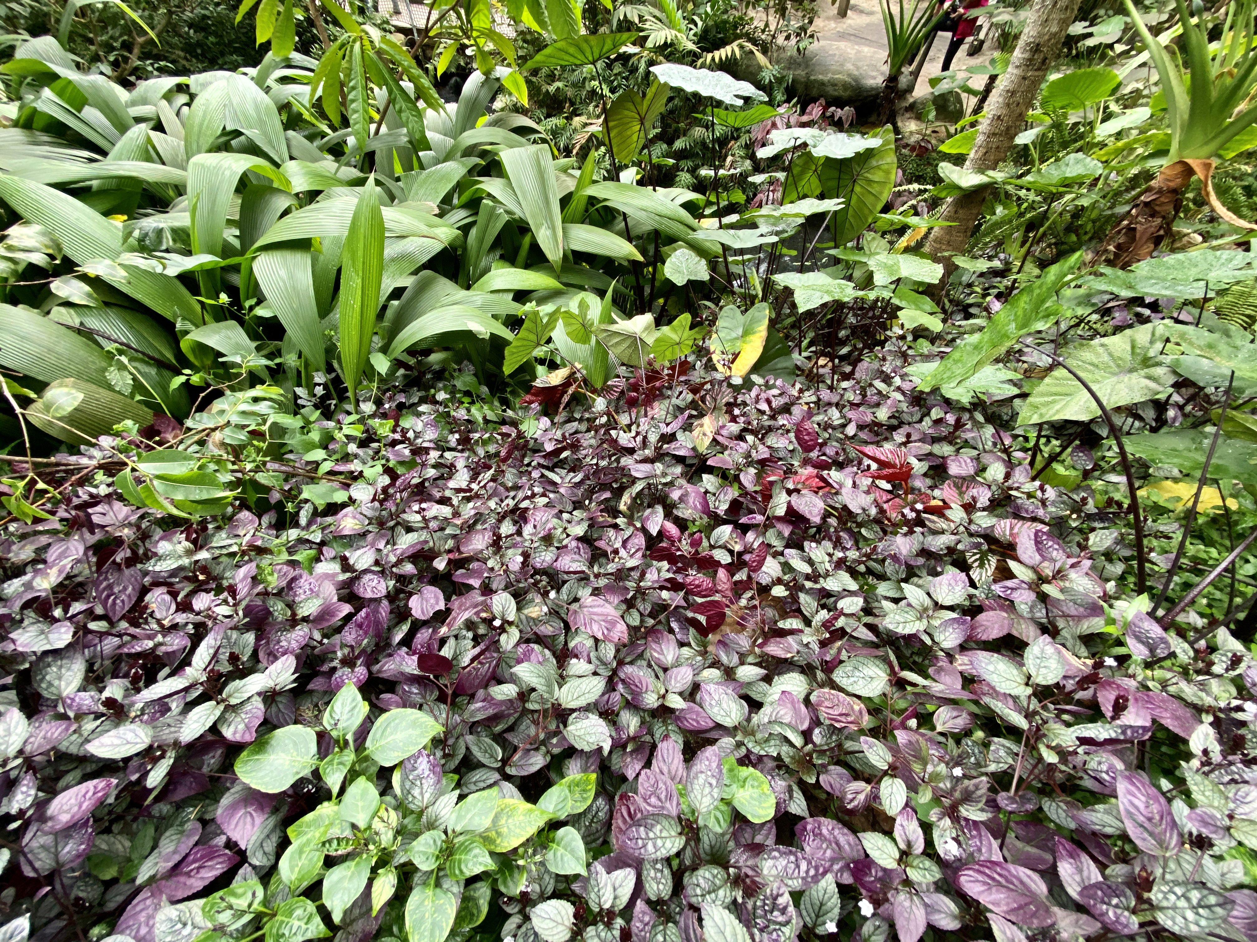 Eden Project Cornwall