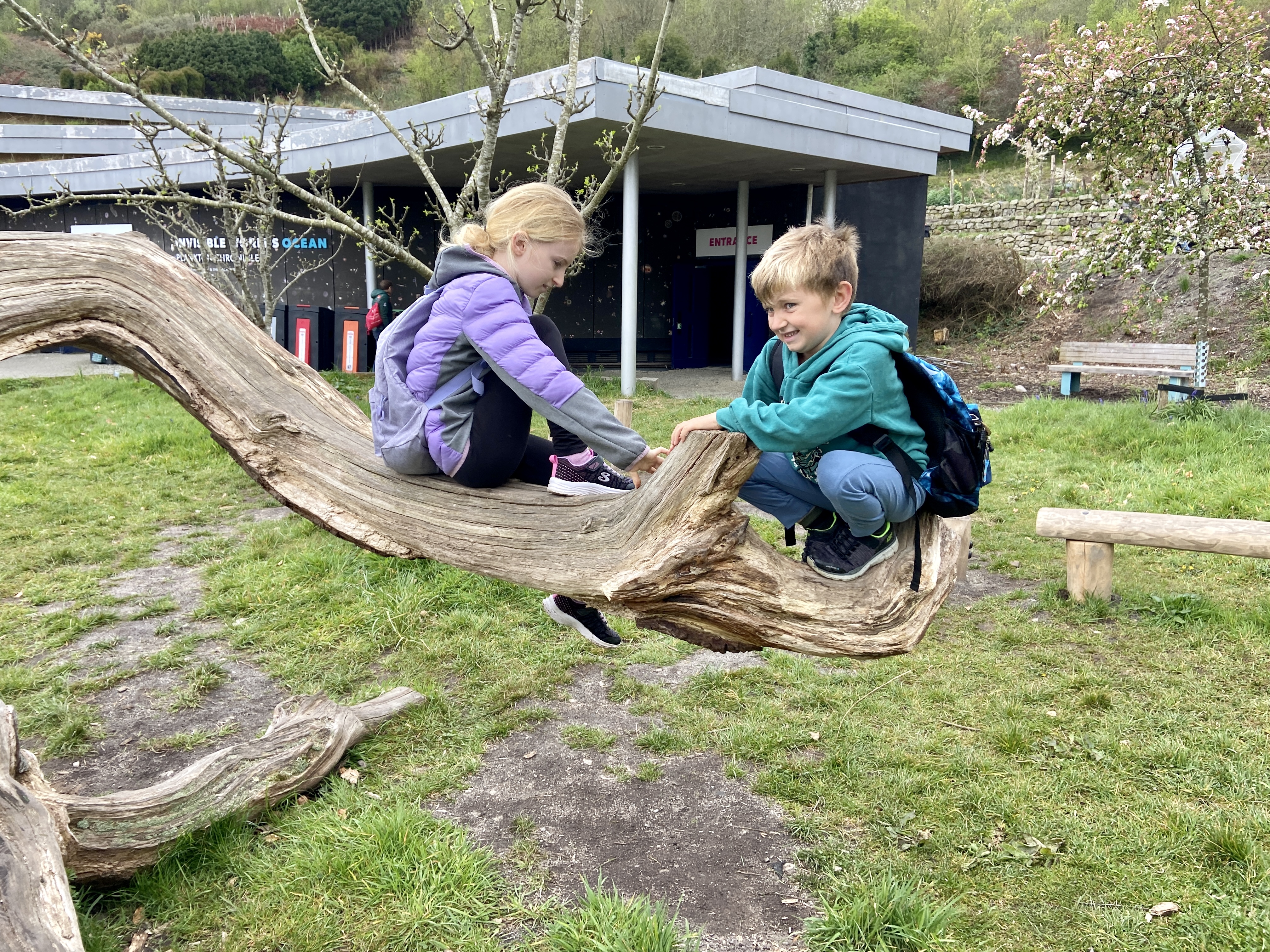 Eden Project Cornwall