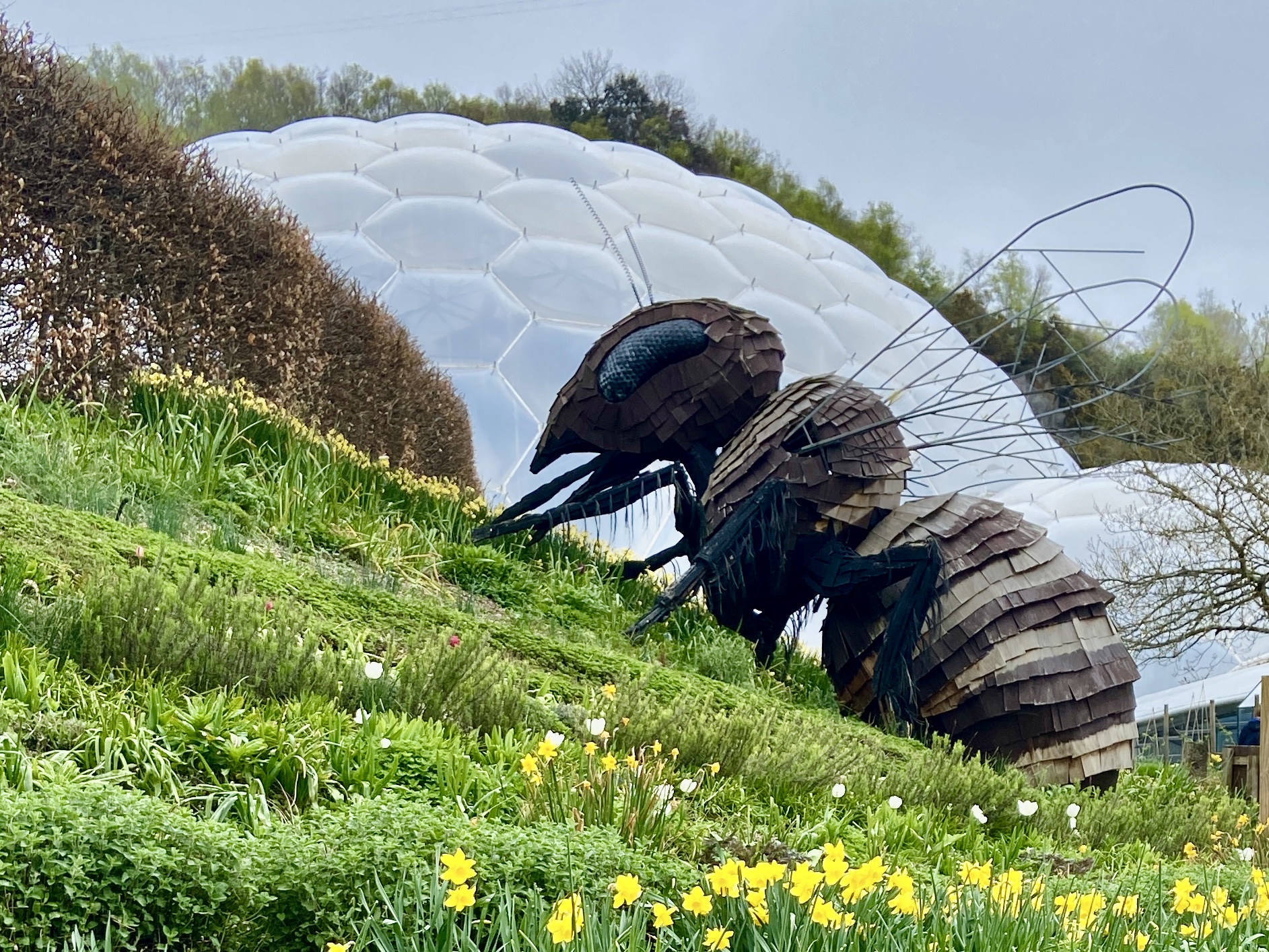 Eden Project Cornwall
