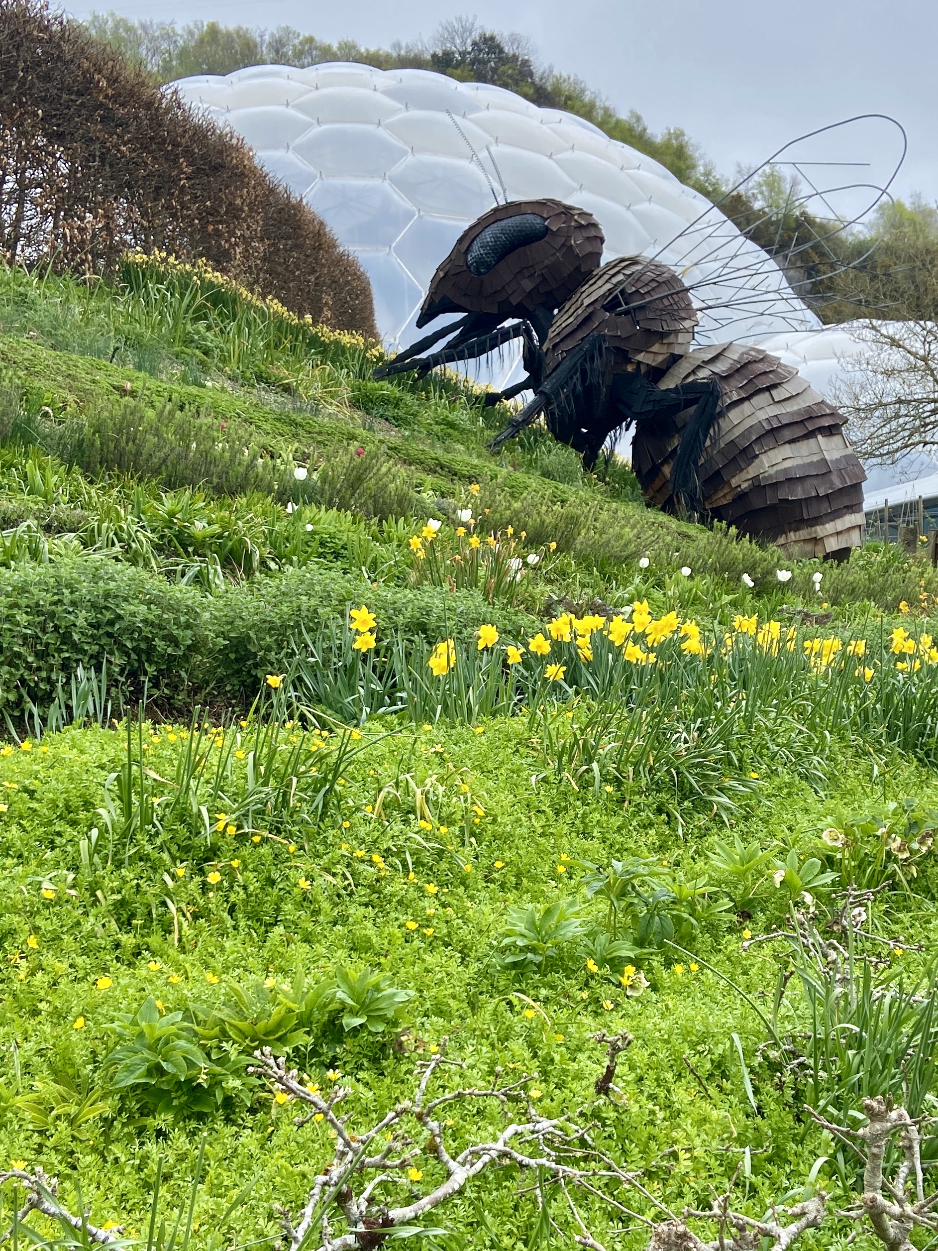 Eden Project Cornwall Bee Sculpture