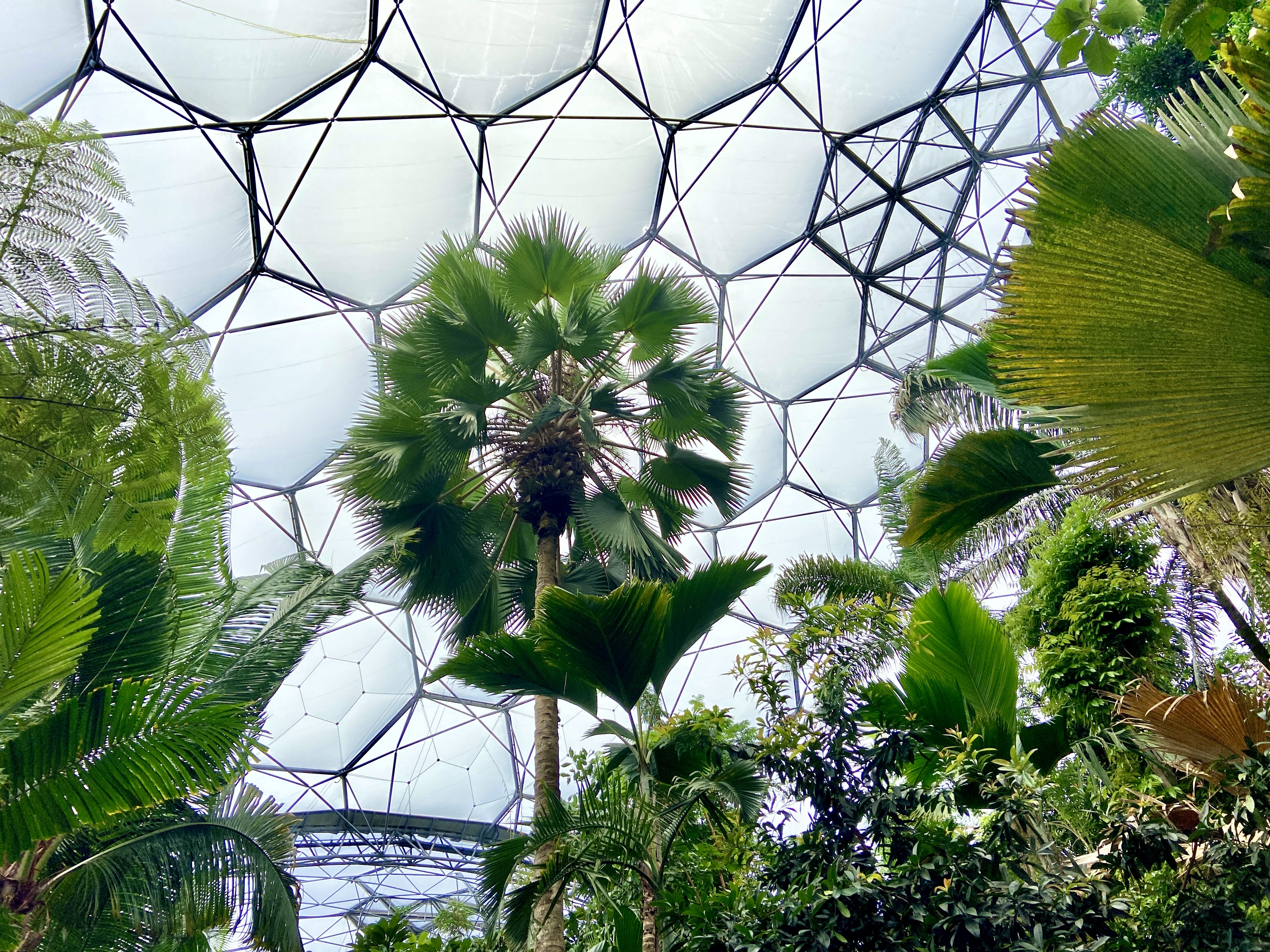 Eden Project Cornwall