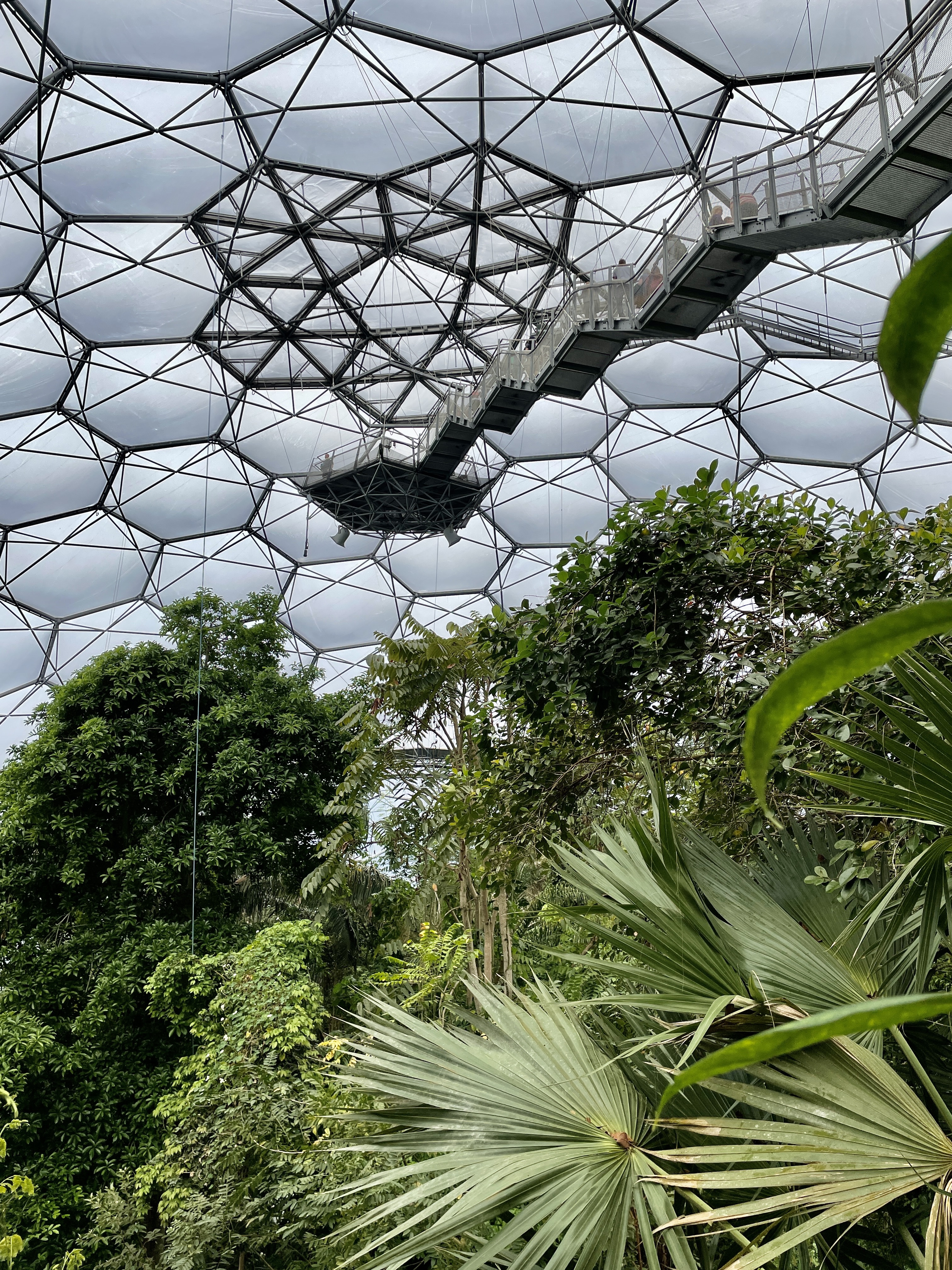 Eden Project Cornwall rainforest biome canopy lookout suspended staircase platform