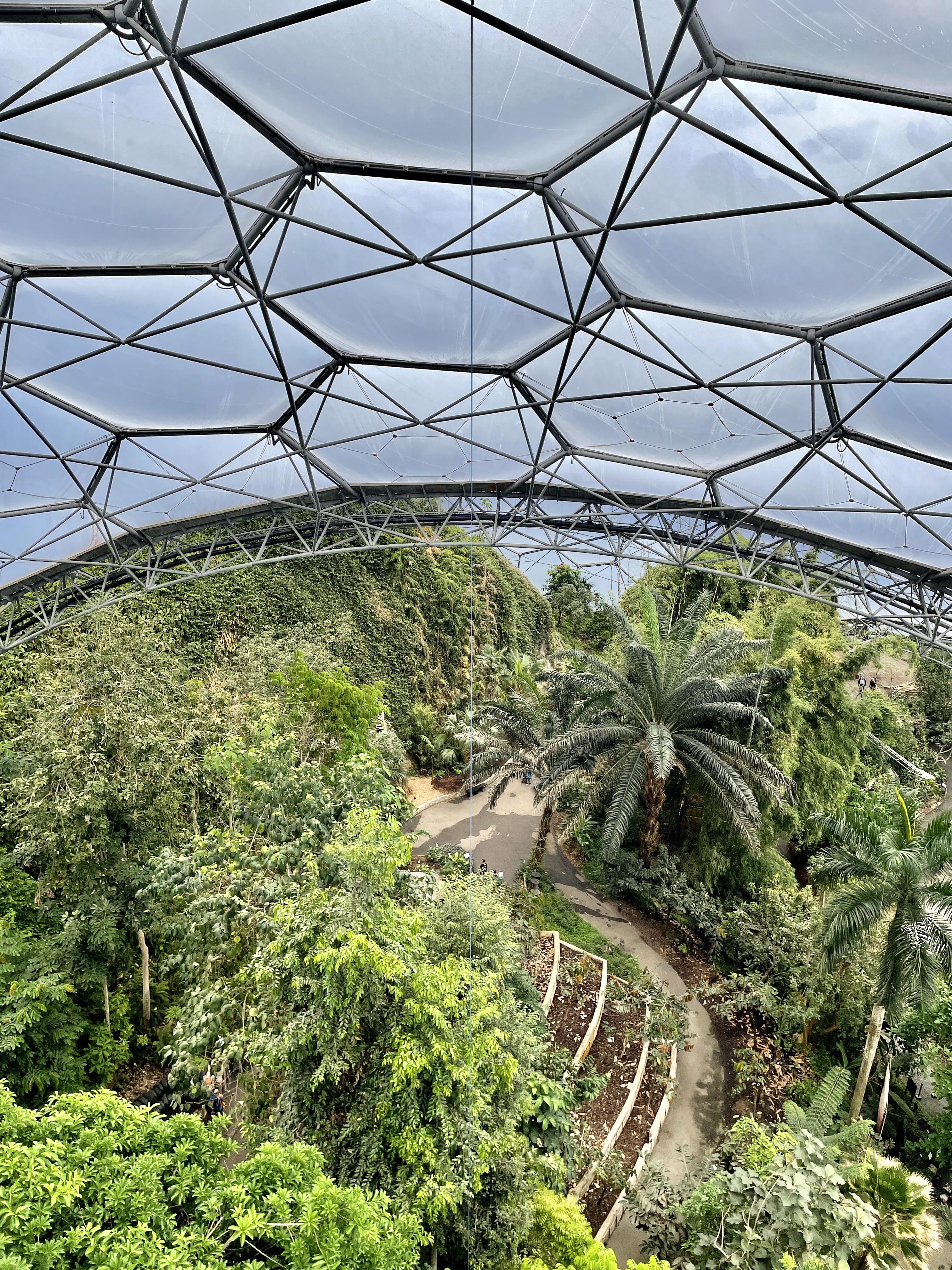 Eden Project Cornwall rainforest biome canopy lookout suspended staircase platform