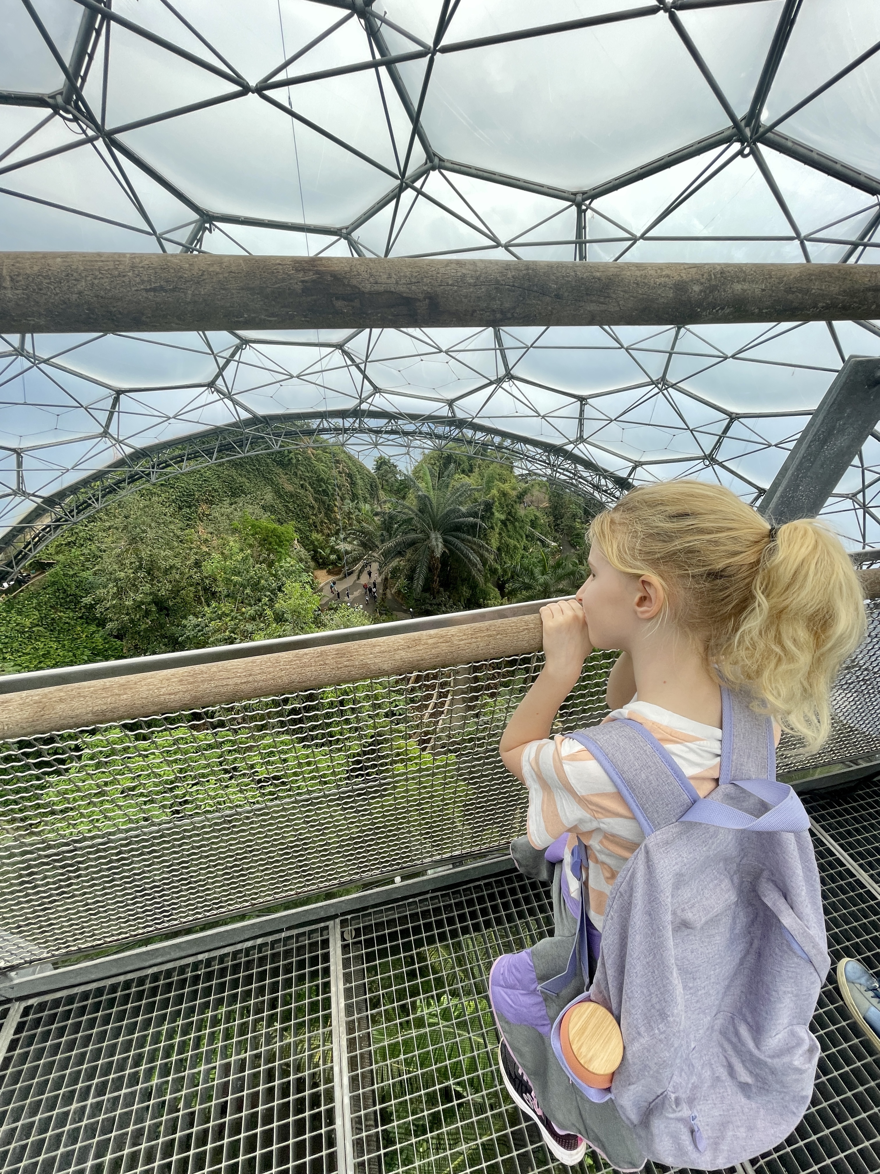 Eden Project Cornwall rainforest biome canopy lookout suspended staircase platform