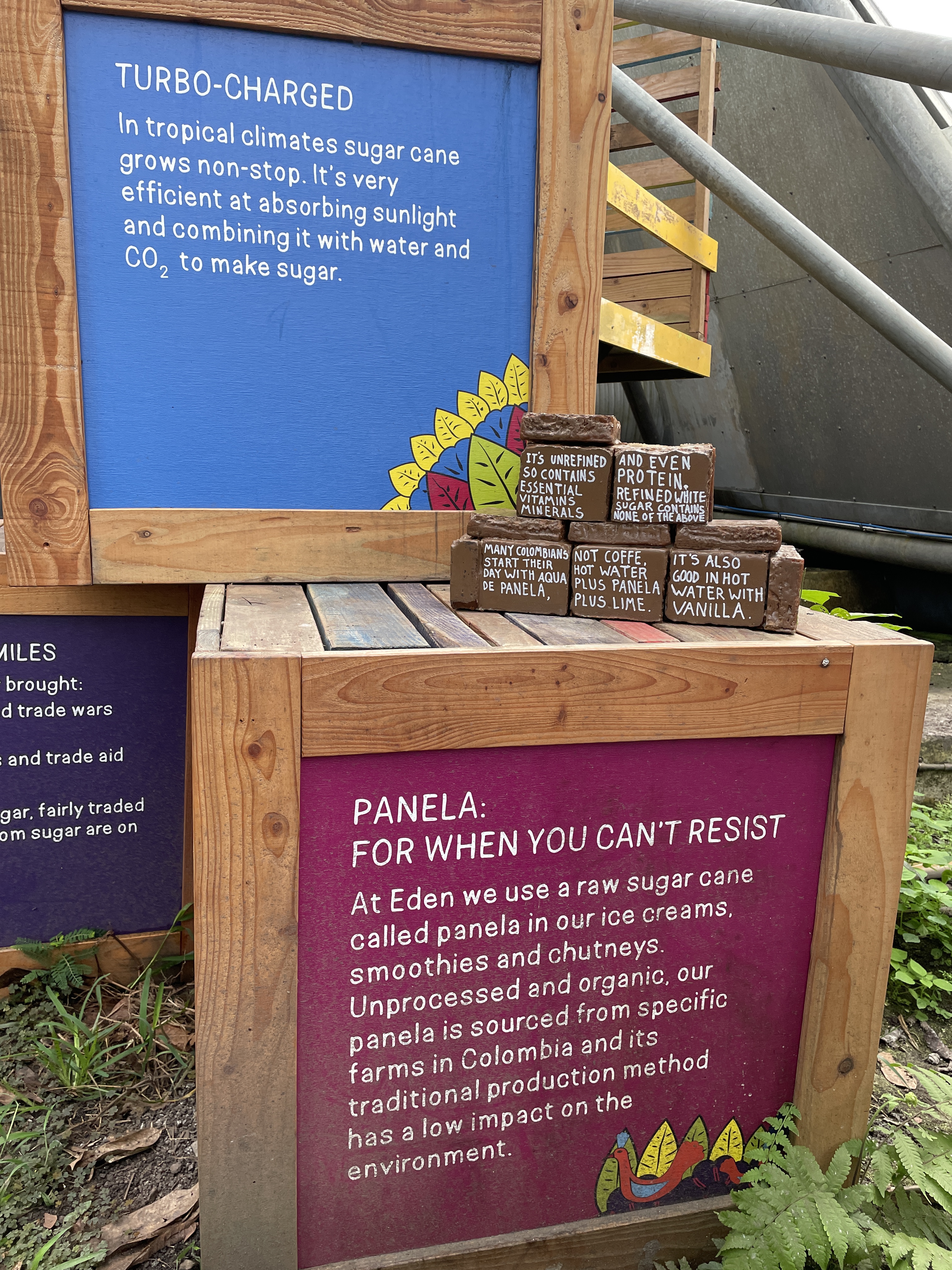 Eden Project Cornwall panela stand