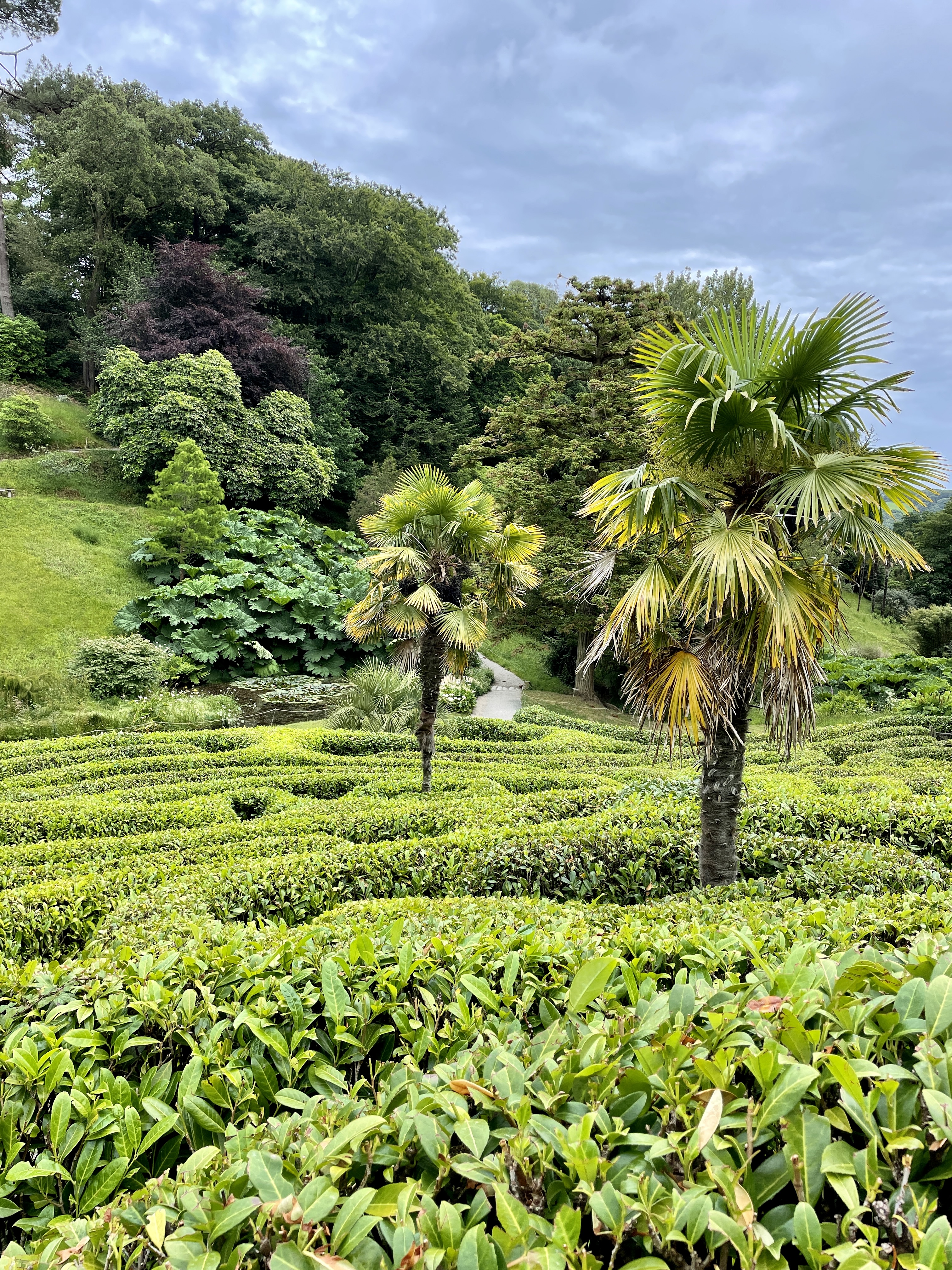 Glendurgan Garden National Trust Falmouth Cornwall