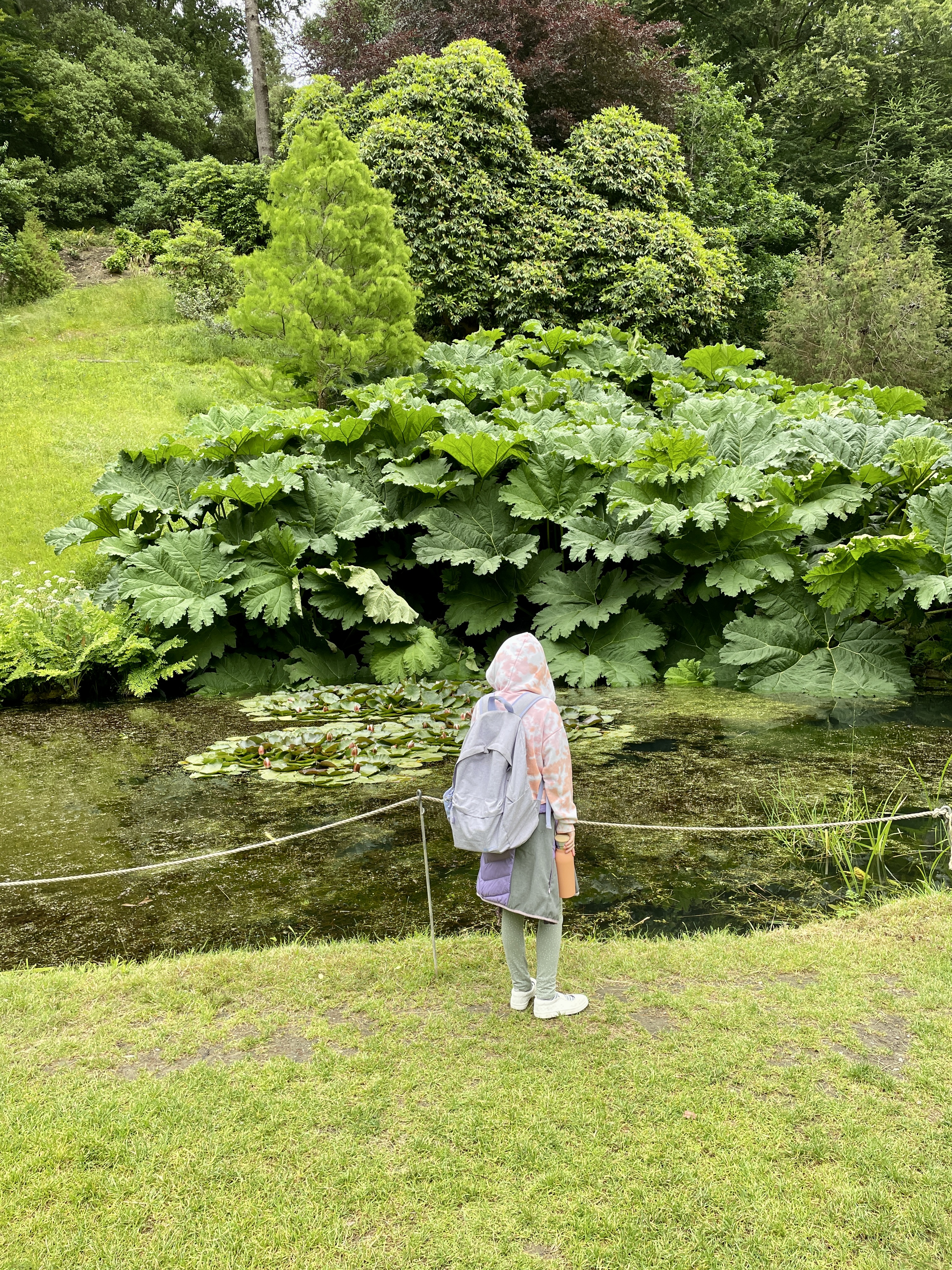 Glendurgan Garden National Trust Falmouth Cornwall