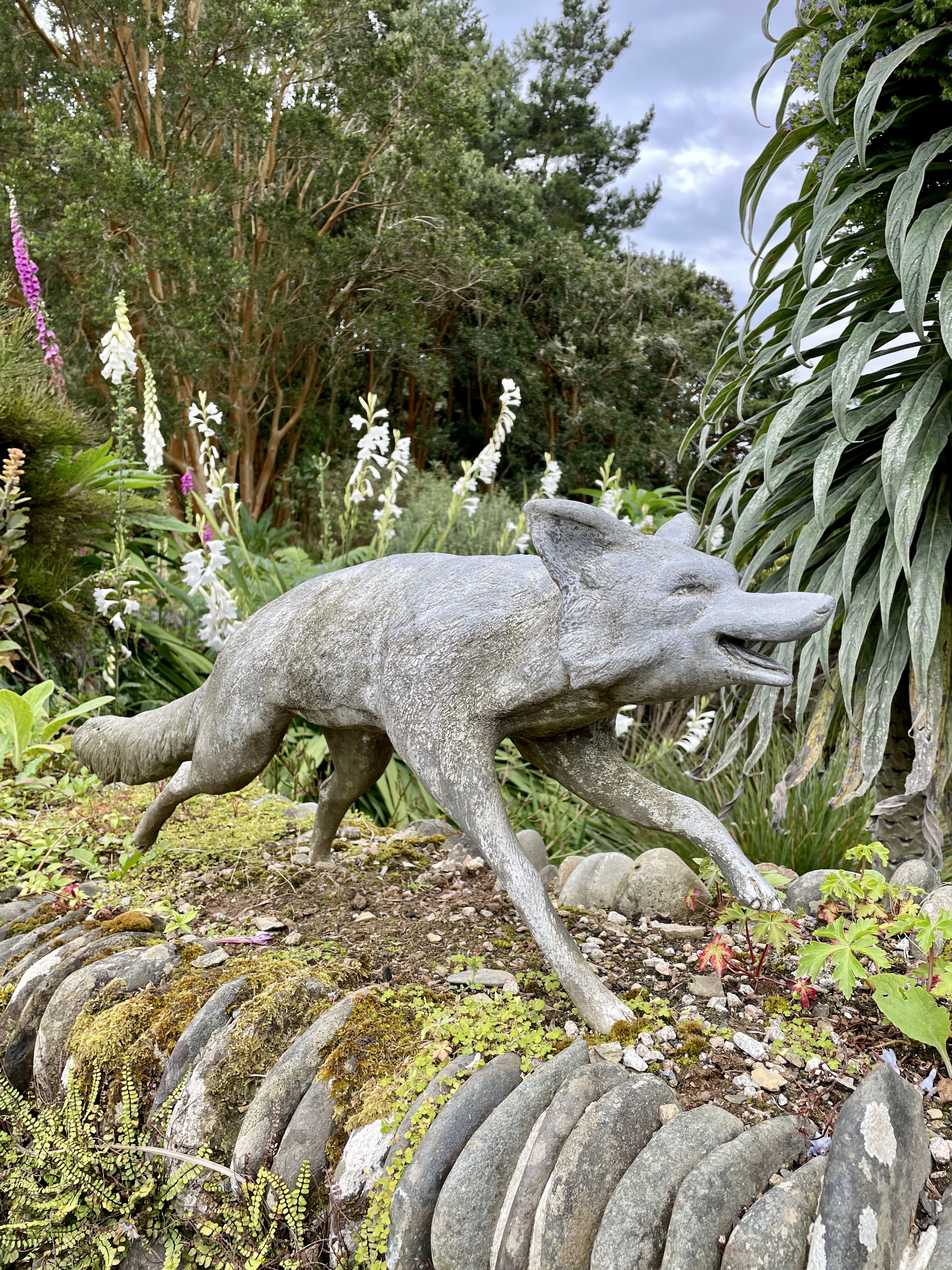 Glendurgan Garden National Trust Falmouth Cornwall
