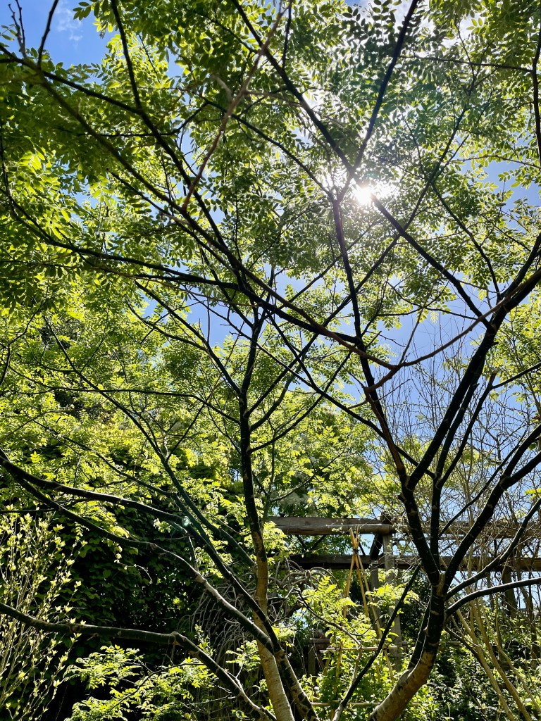 Bristol Botanical Gardens review