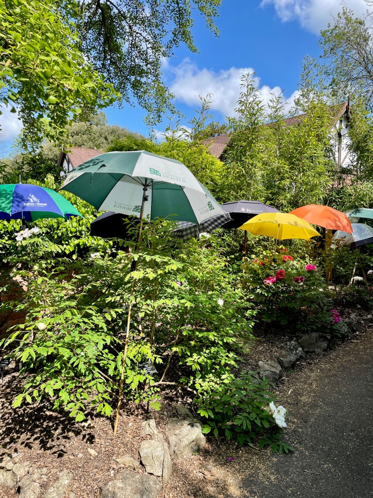 Bristol Botanical Gardens review