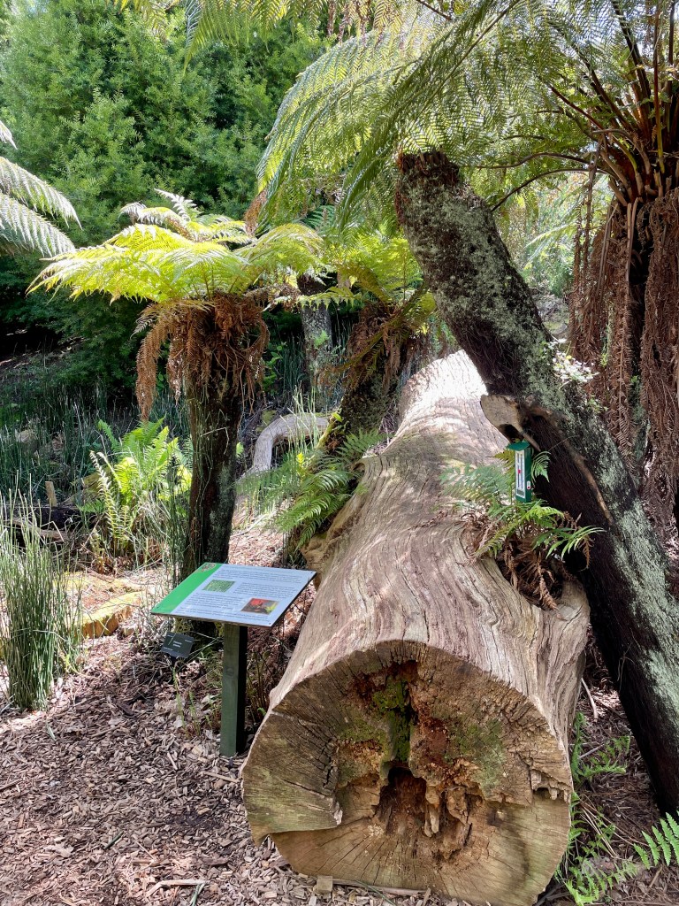 Bristol Botanical Gardens review