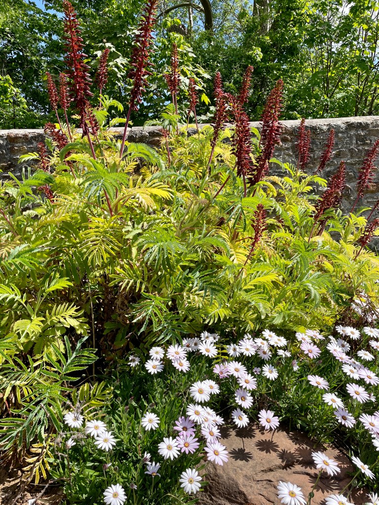 Bristol Botanical Gardens review