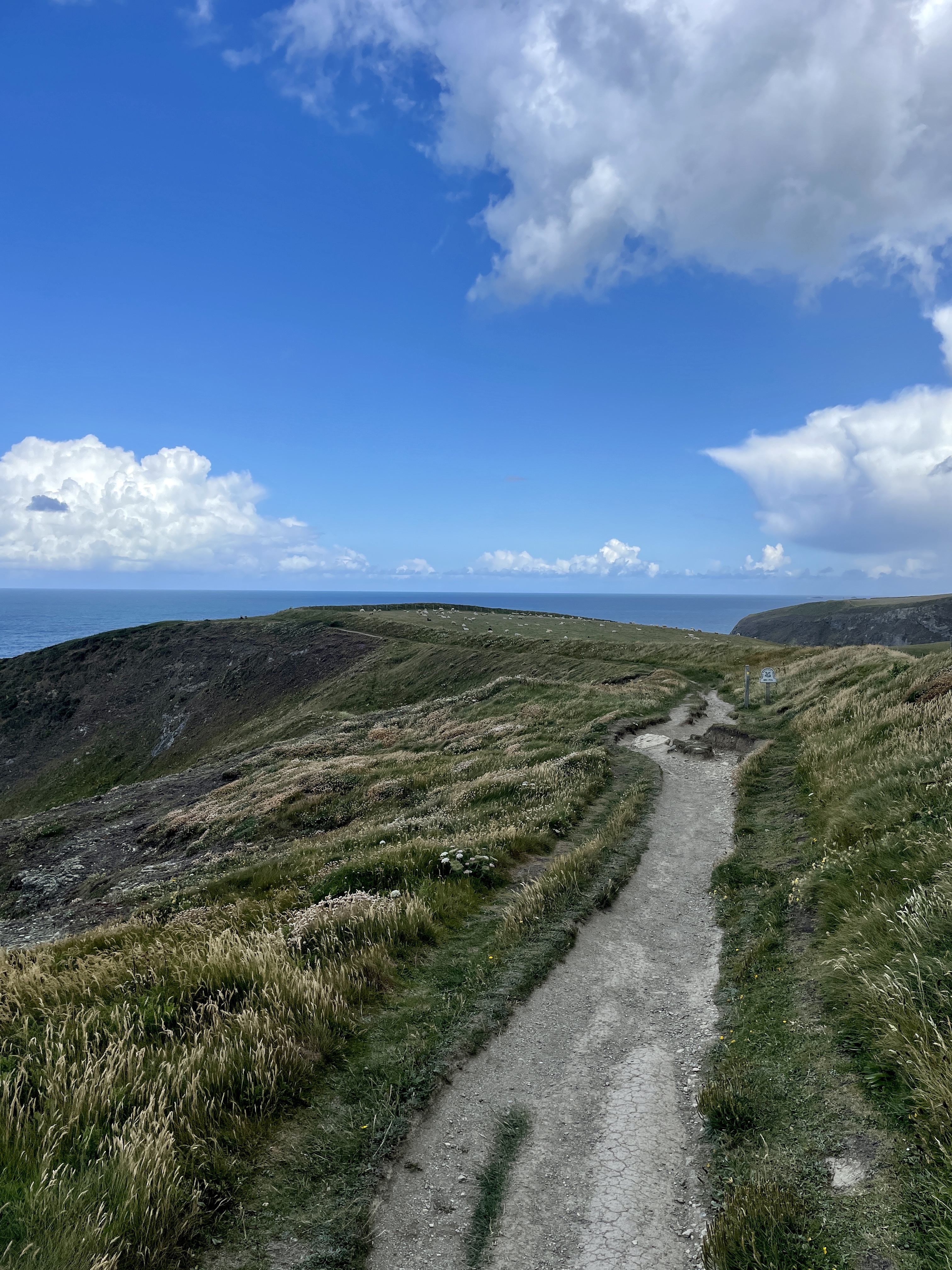 Watergate Bay to Mawgan Porth South West Coastal Path walk