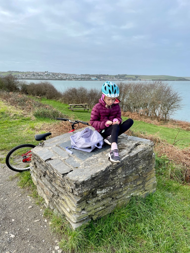 camel trail wadebridge to padstow