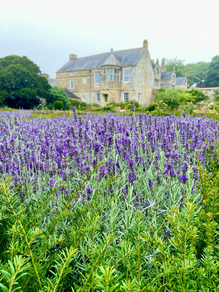 Trerice Manor Cornwall