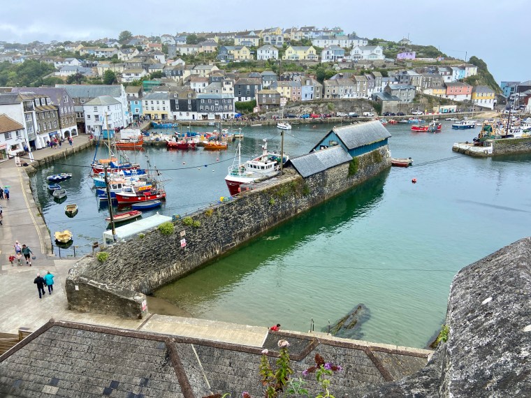 boating trips mevagissey