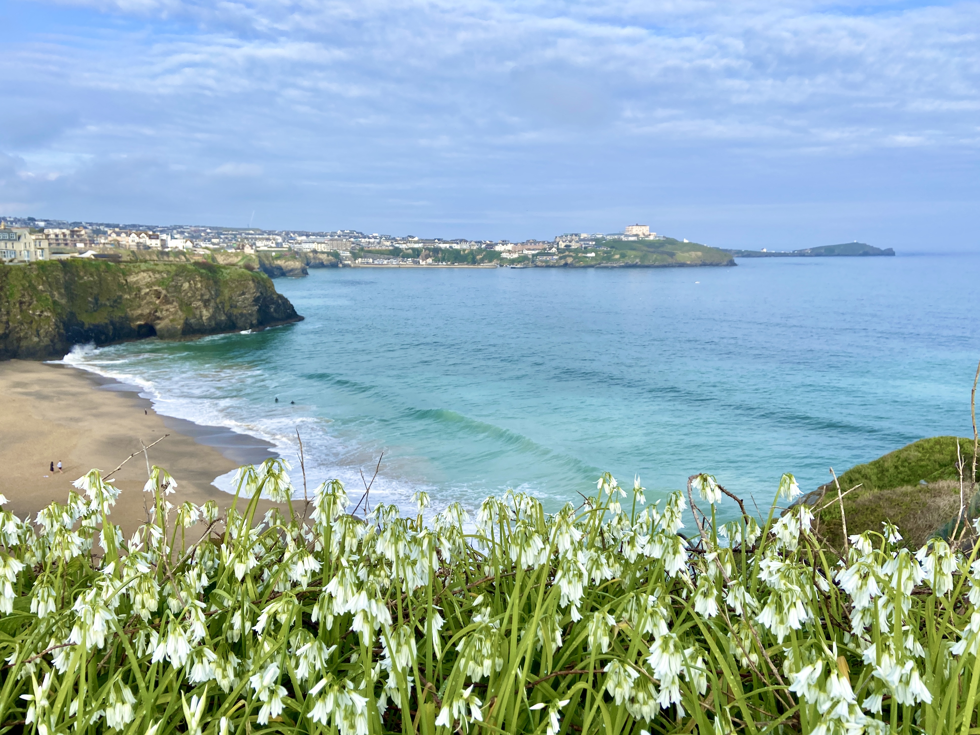 Tolcarne and Great Western Beach
