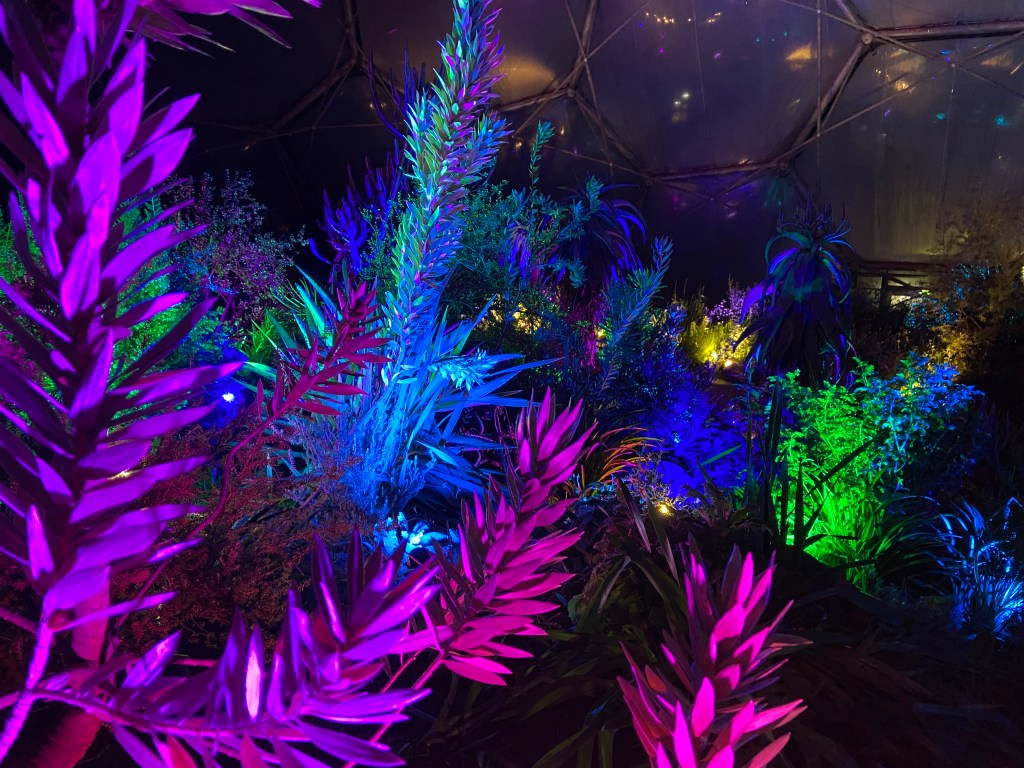 christmas light show eden project