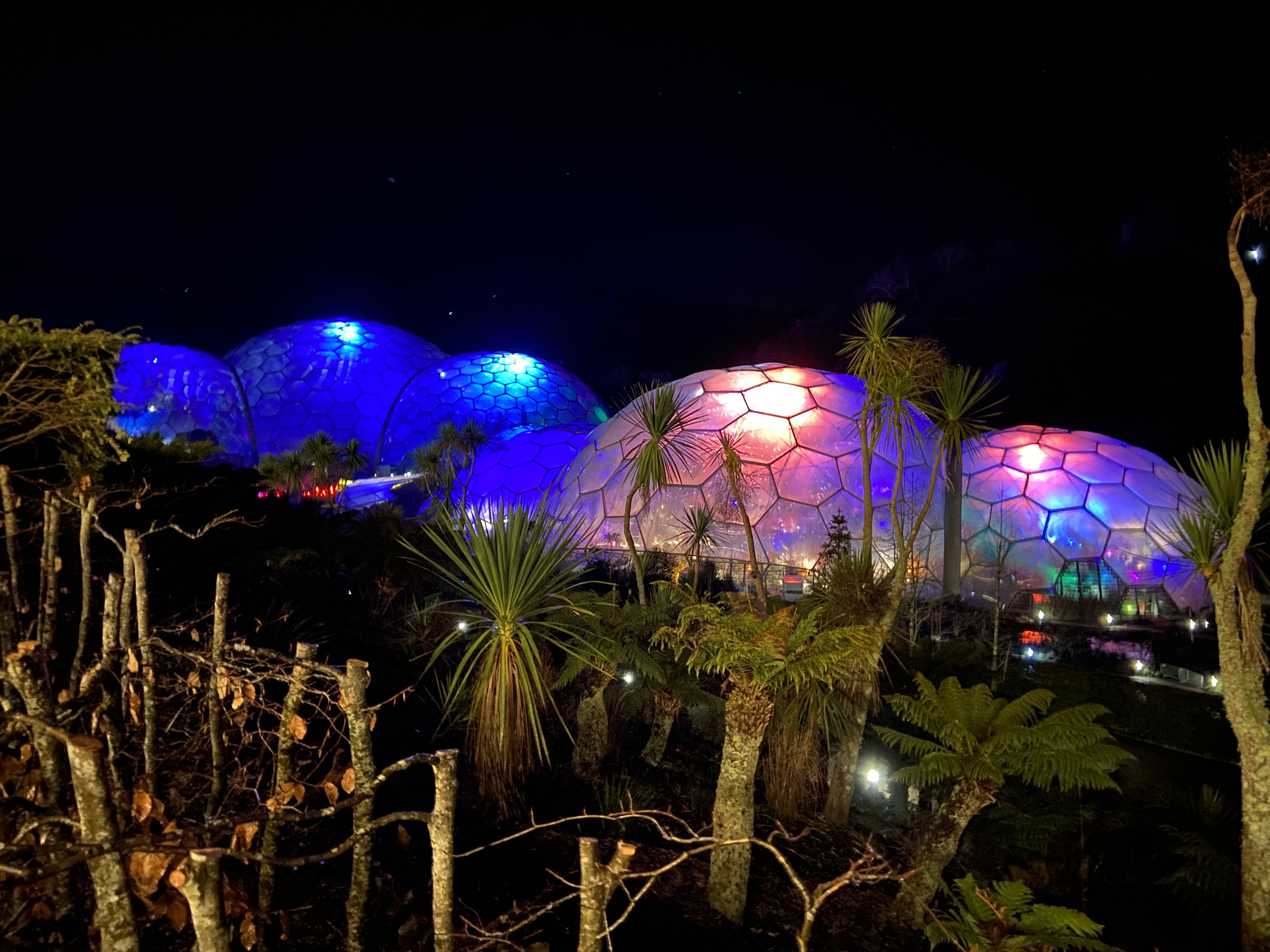 Christmas lights eden project review
