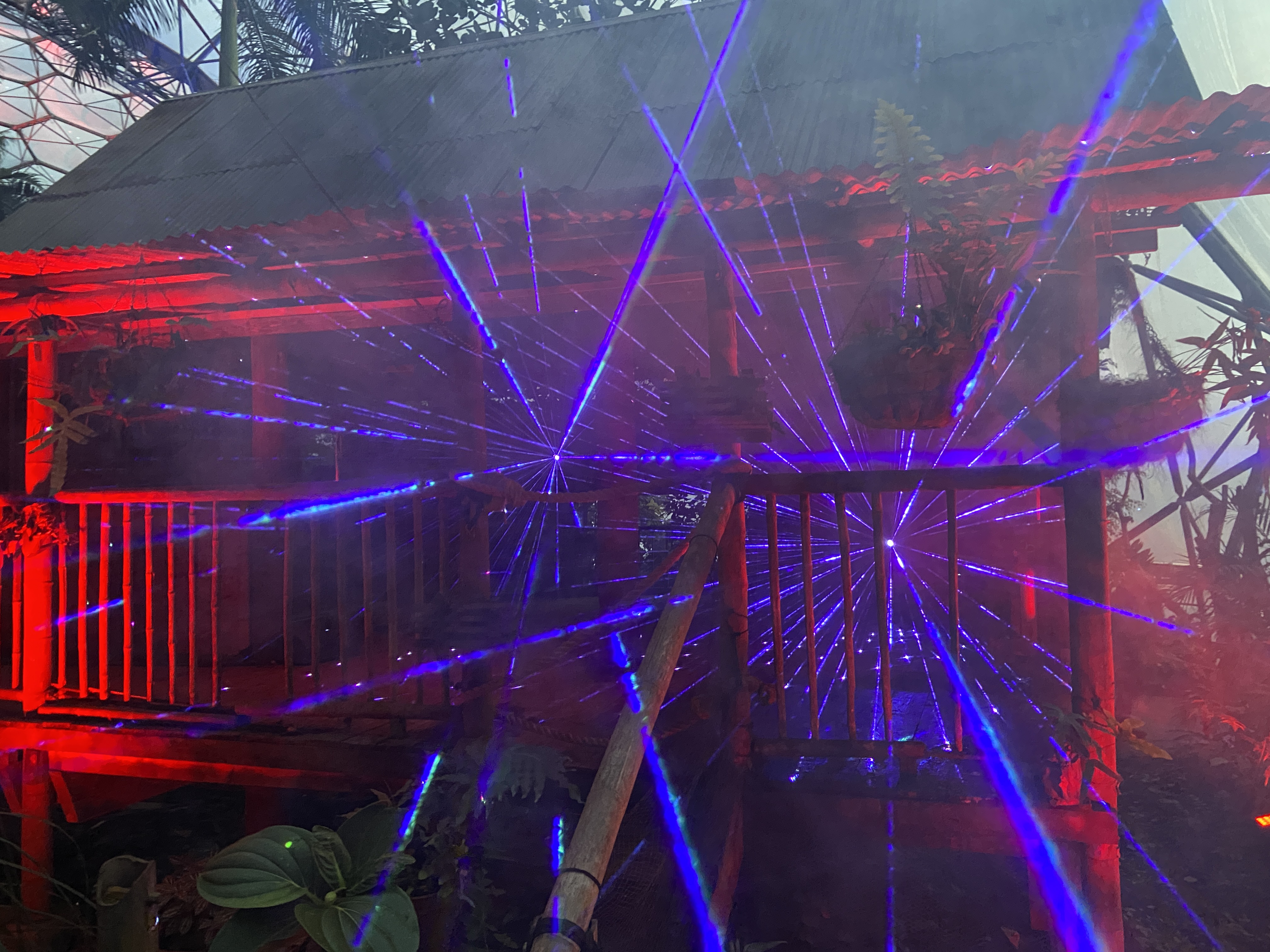 Eden Project Christmas Lights Review