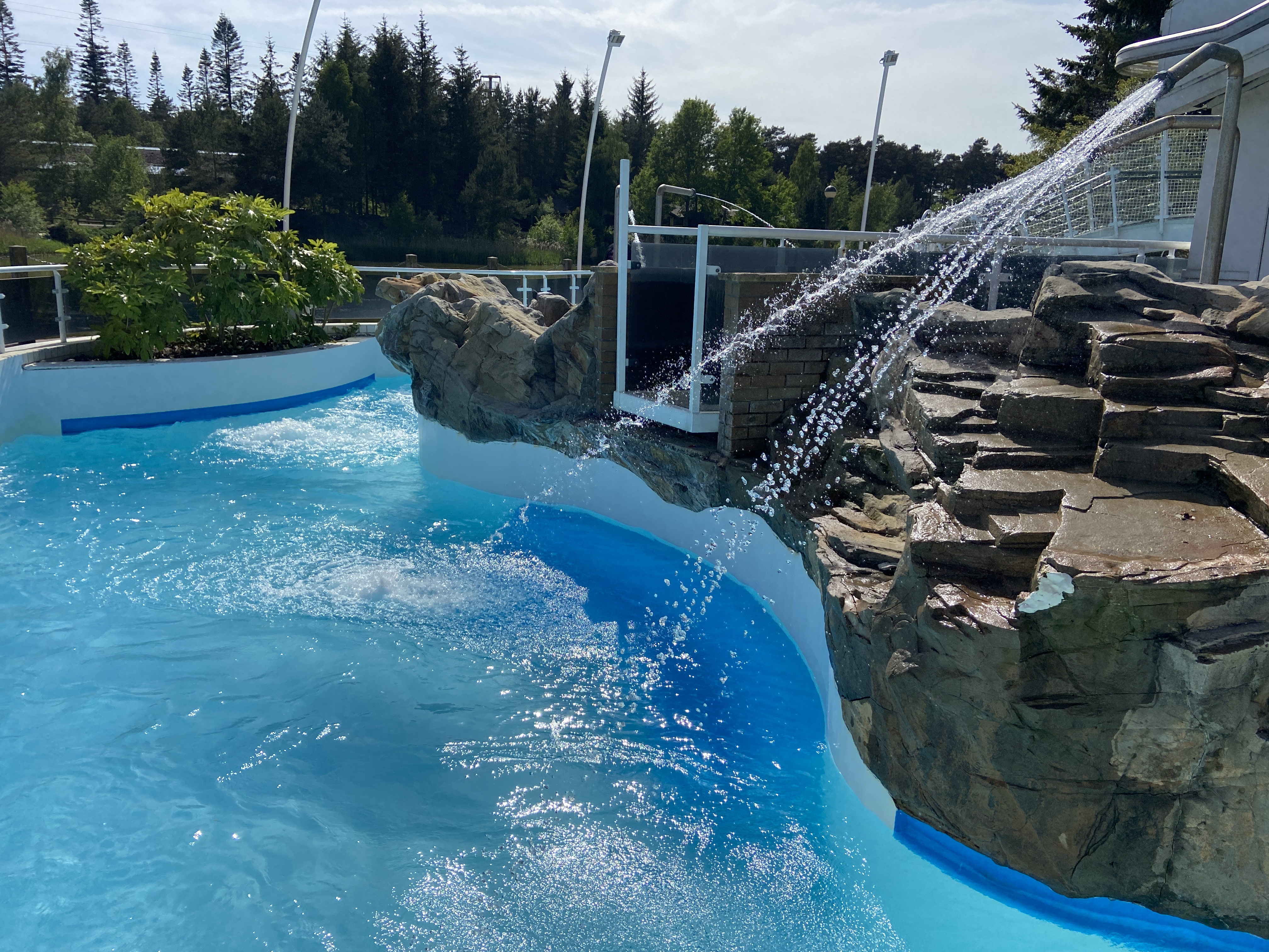 Subtropical Swimming Paradise