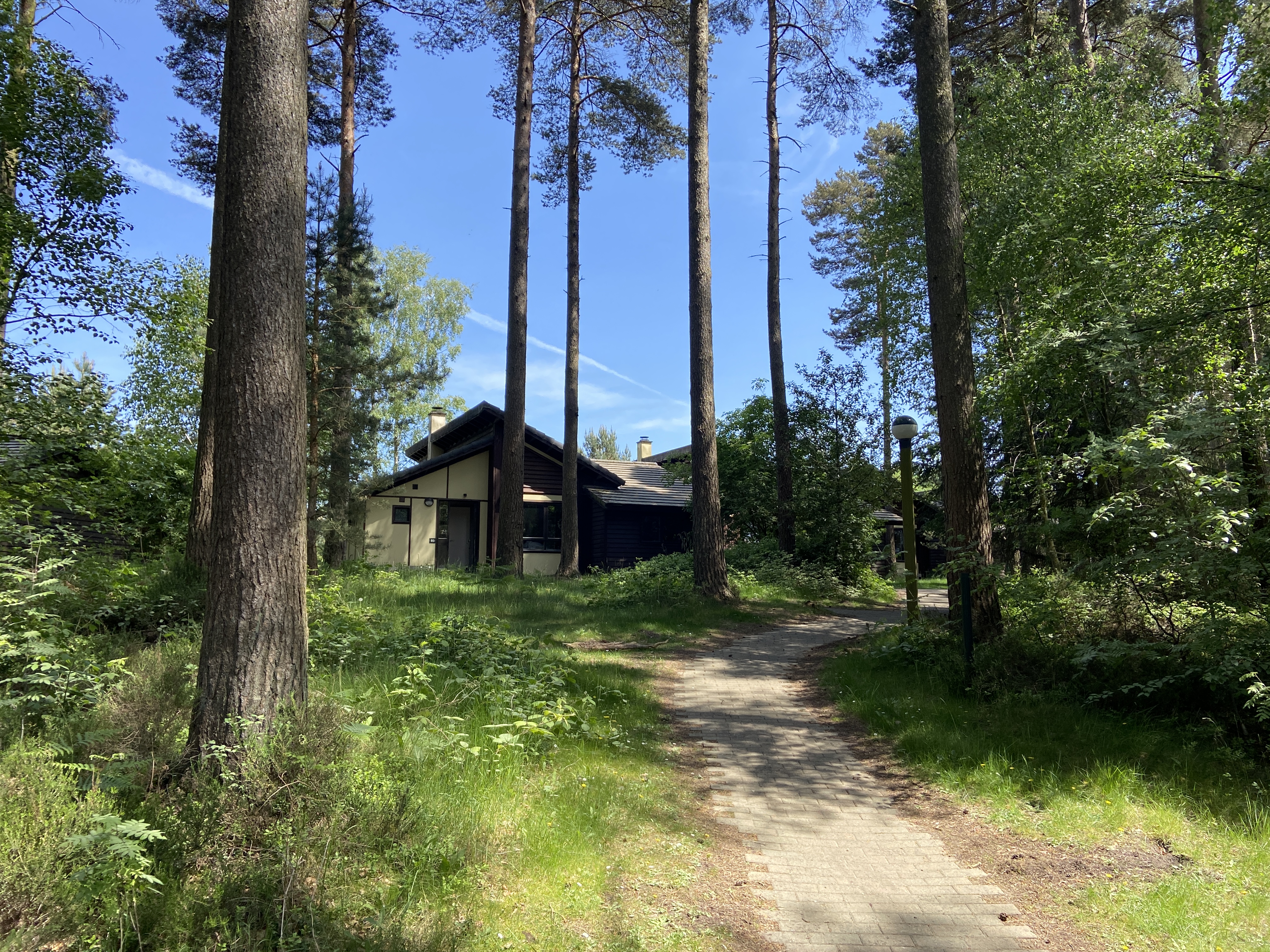 center parcs whinfell forest