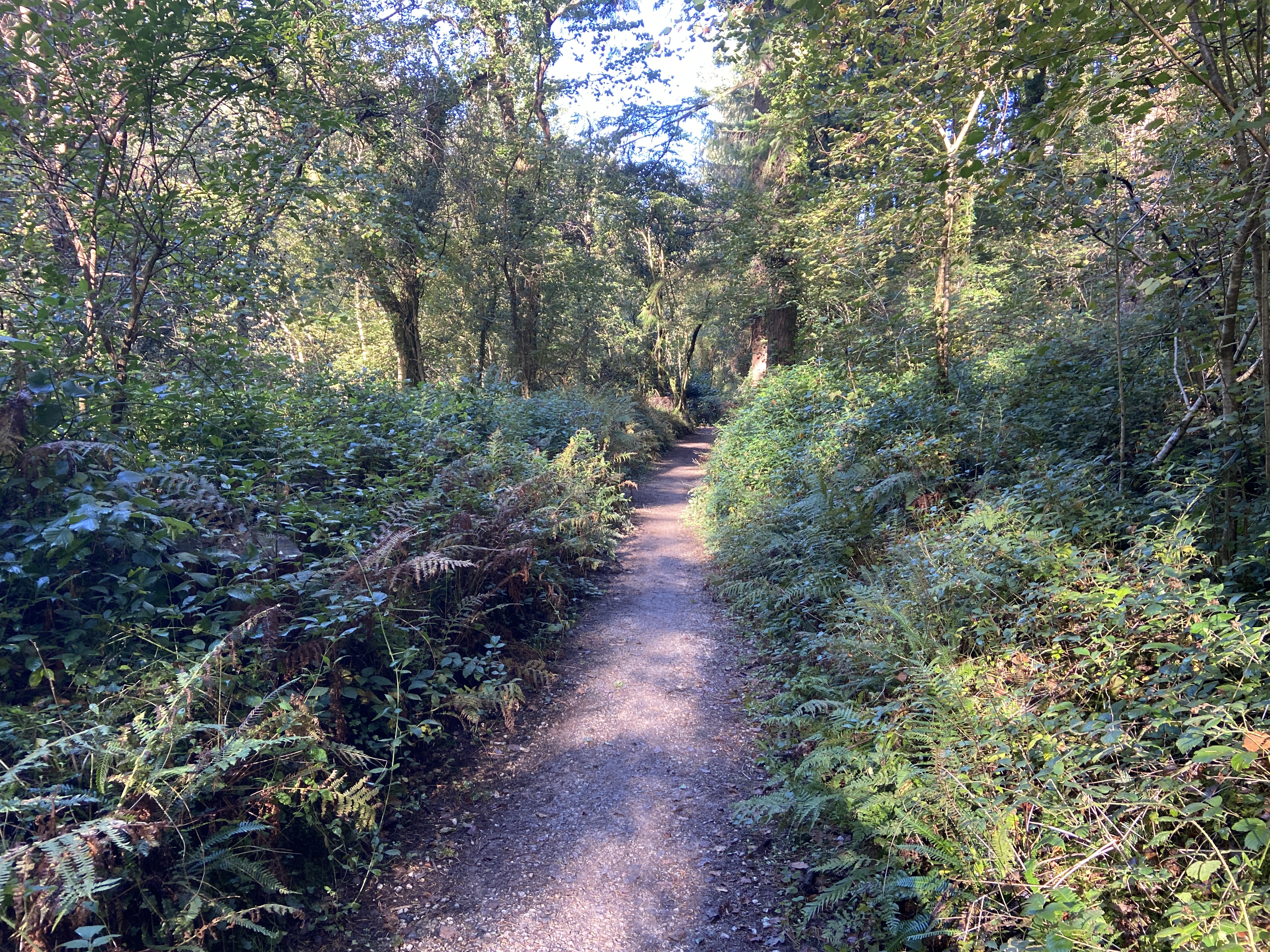 Forest Holidays Deerpark Review