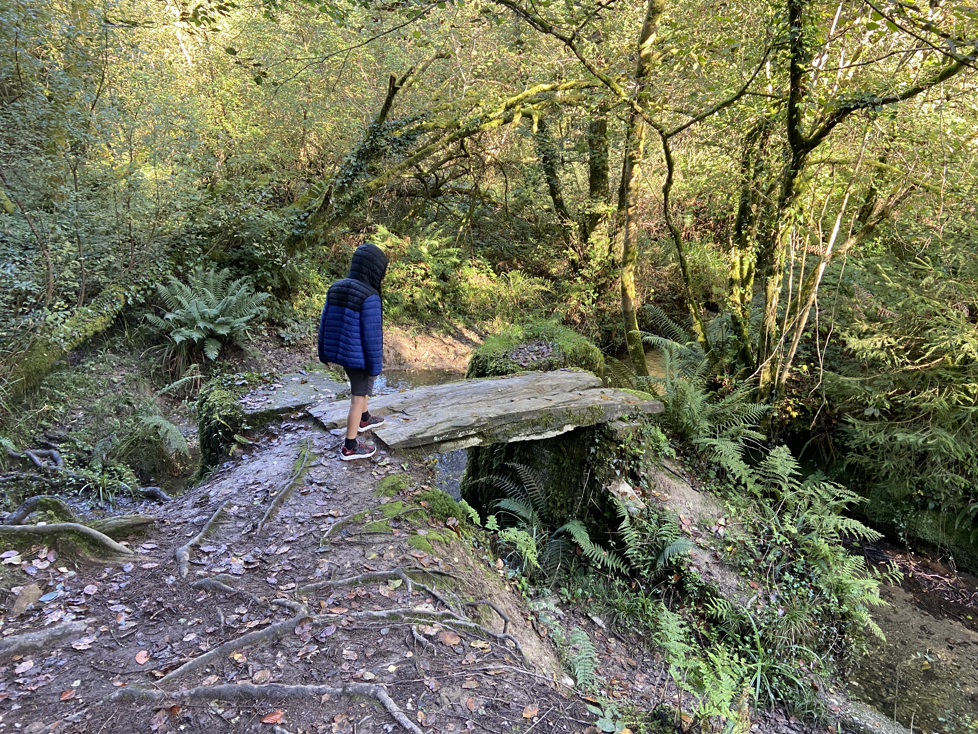 Forest Holidays Deerpark Review
