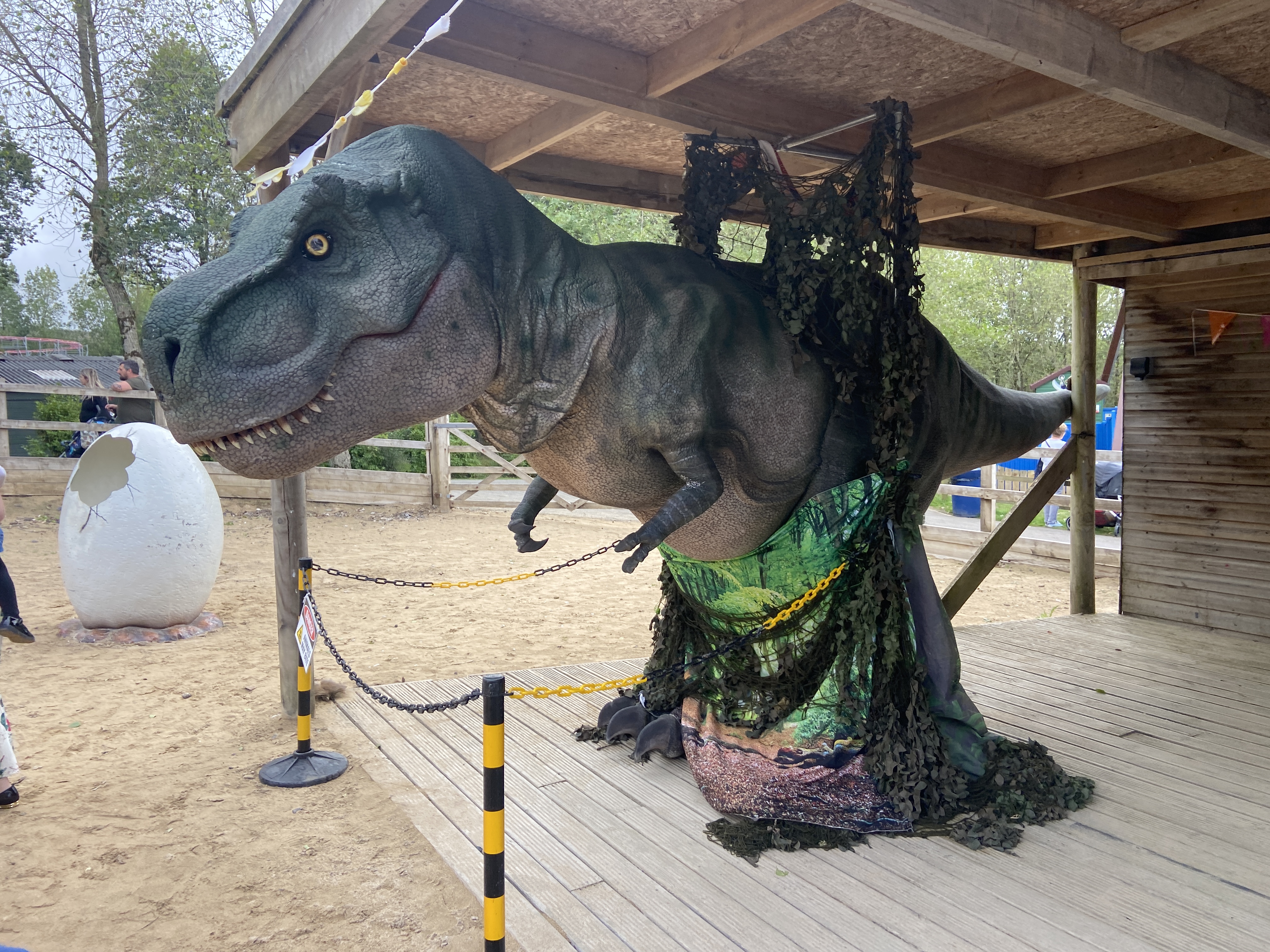 Camel Creek Adventure Park Review Cornwall