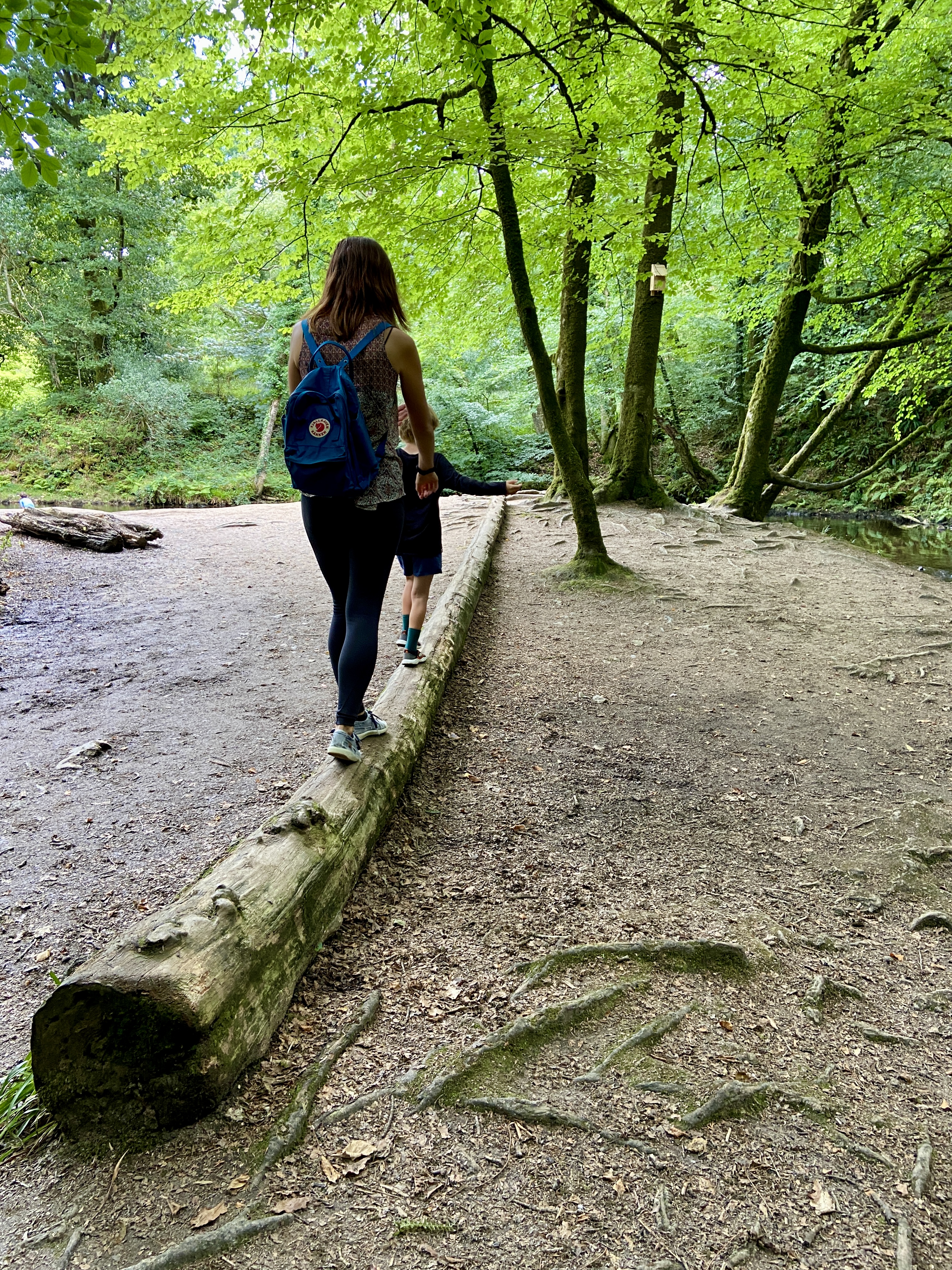 Golitha Falls Waterfalls Nature Playground Cornwall
