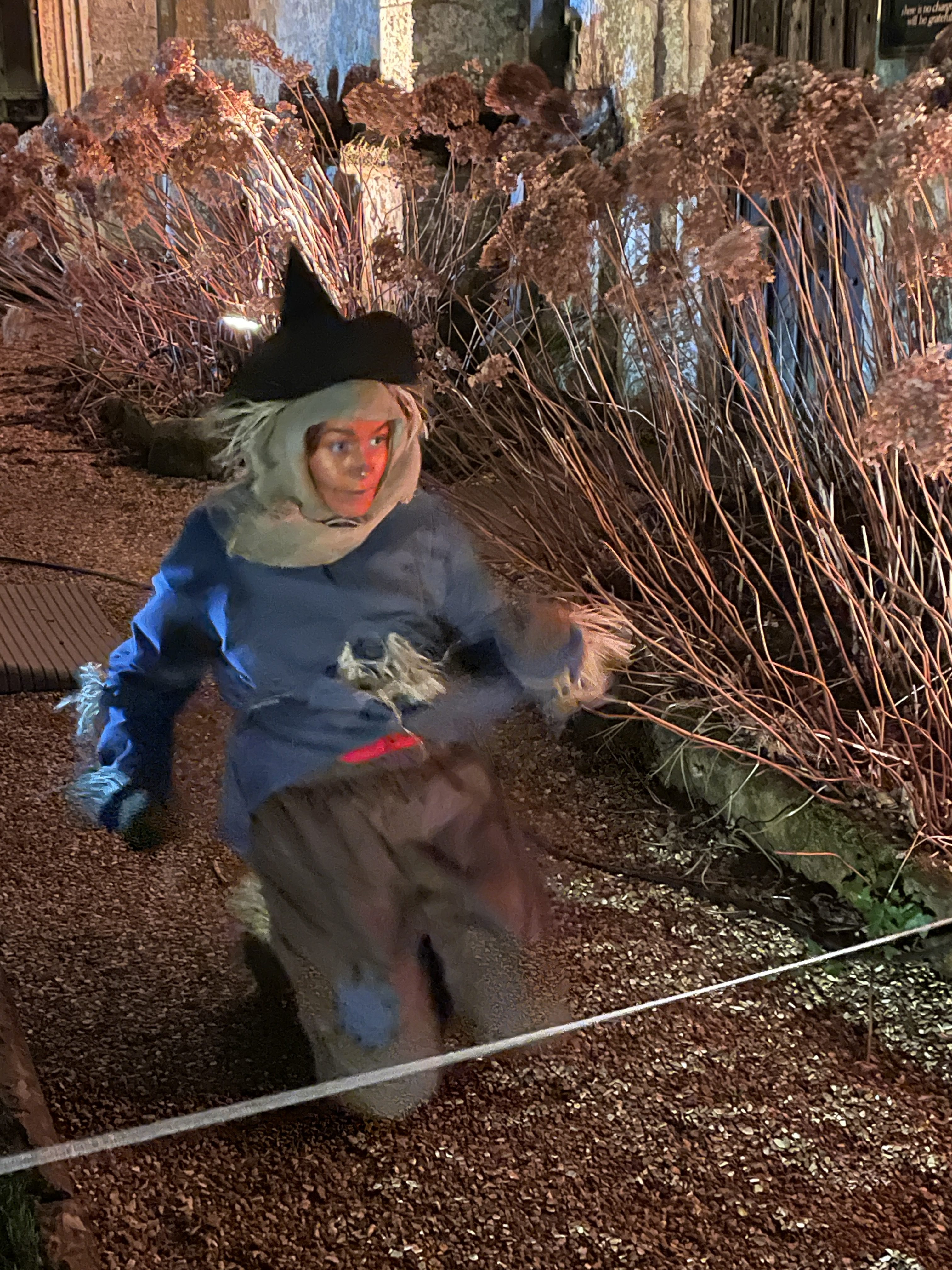 scarecrow wizard of oz sudeley castle