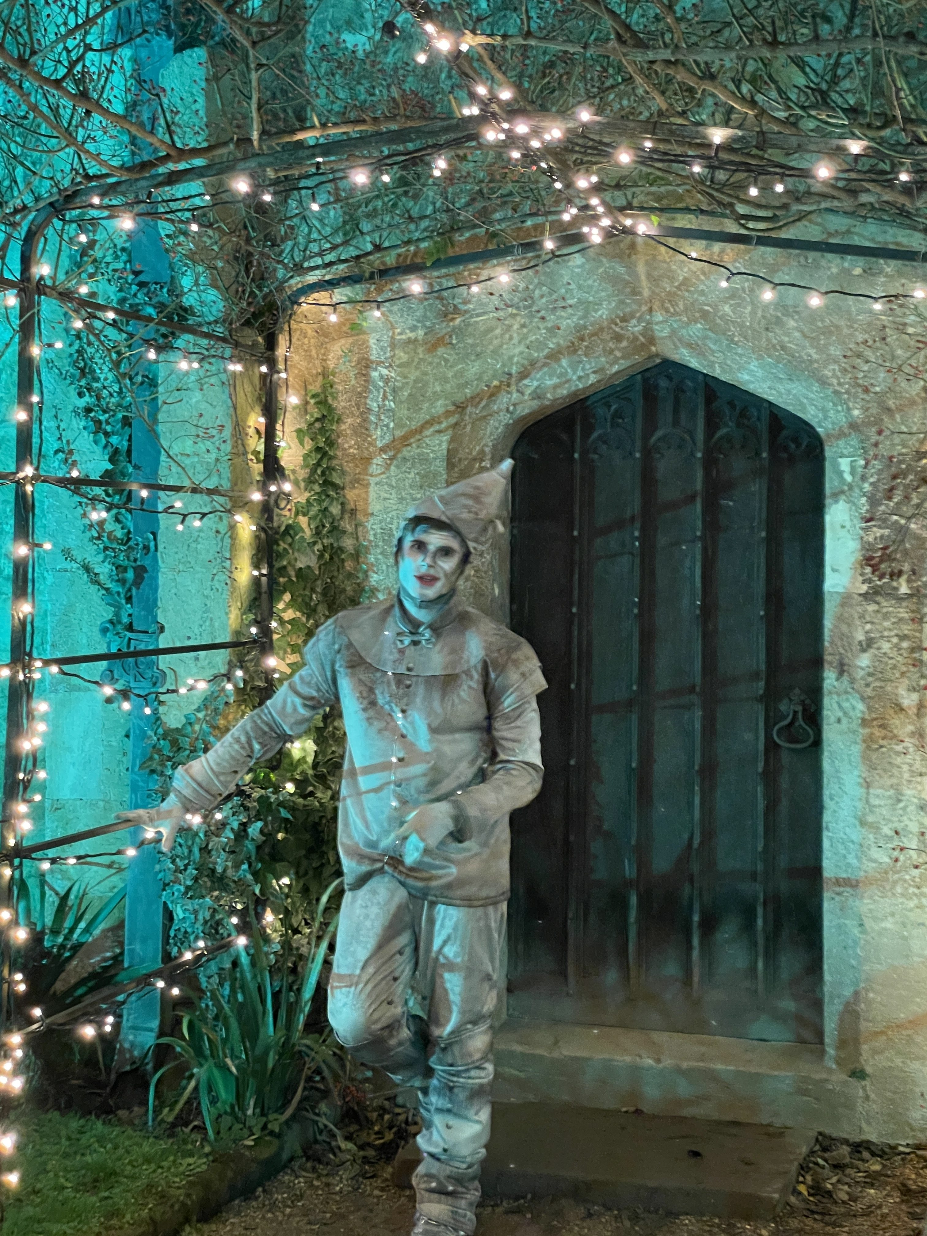 Tin man wizard of oz sudeley castle spectacle of light
