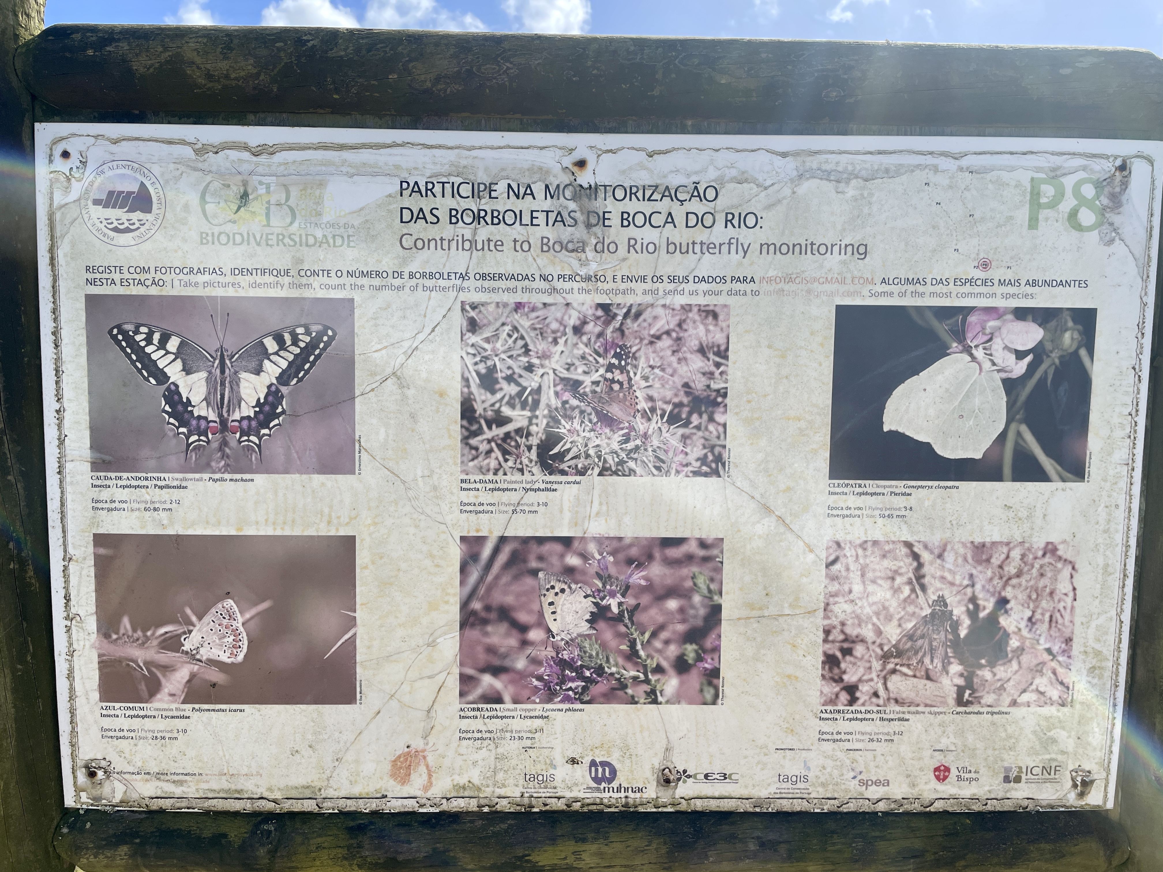Butterfly spotting sign on the Salema Coastal Walk to Praia da Boca do Rio