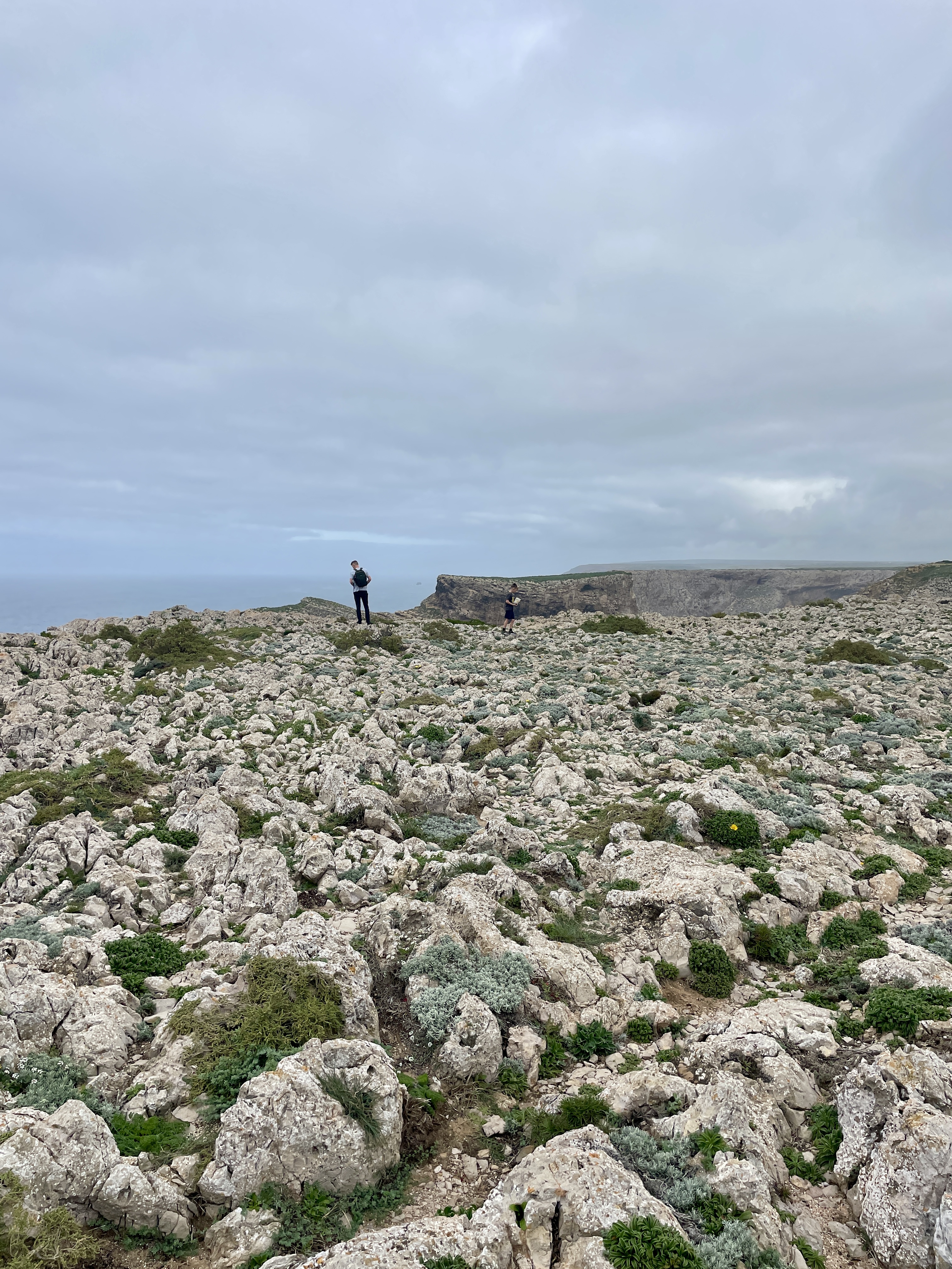Spiky and Rocky Terrain at Cabo de São Vicente