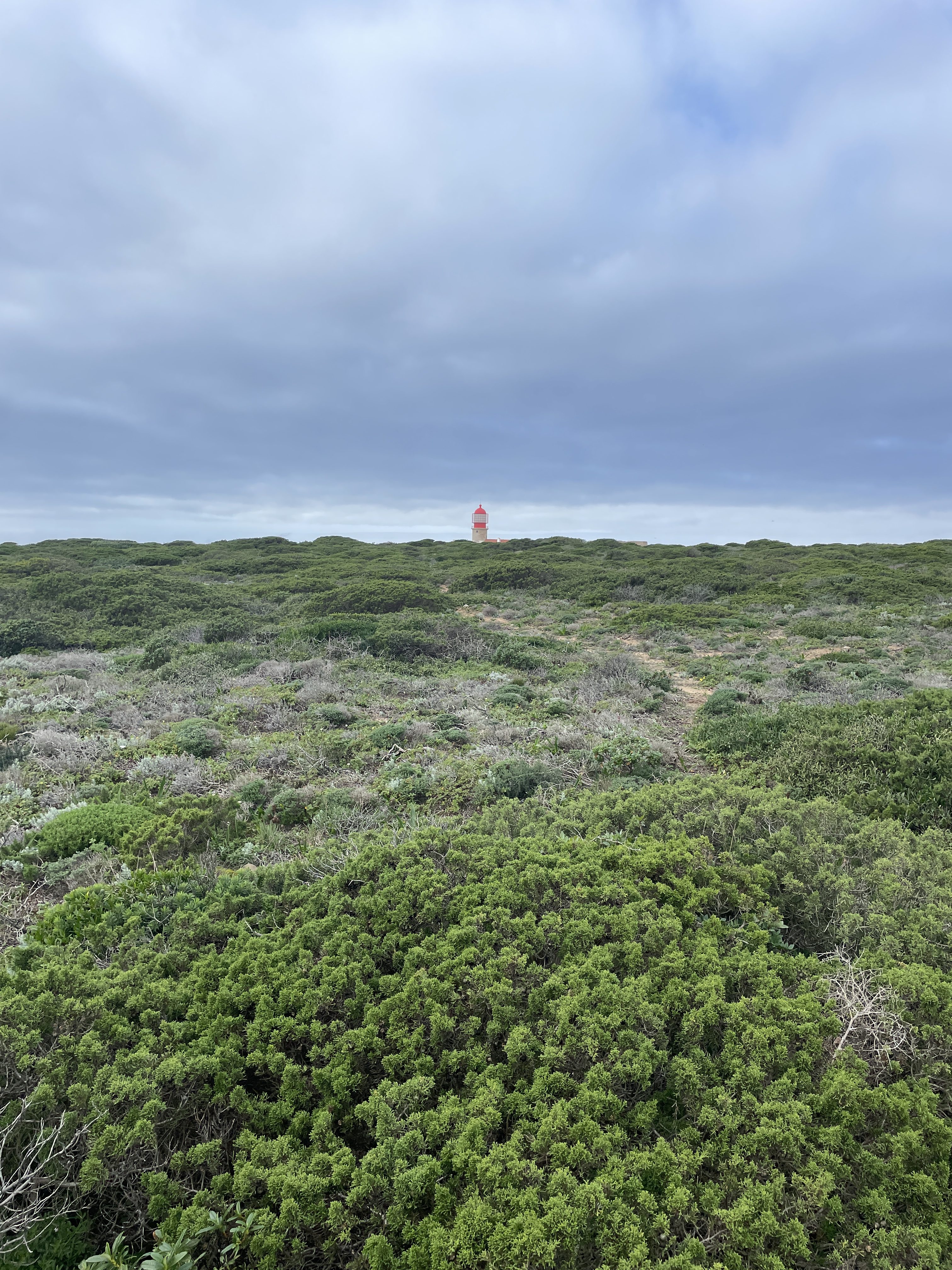 Farol do Cabo de São Vicente, the Iconic Red Lighthouse at Portugal's Land's End
