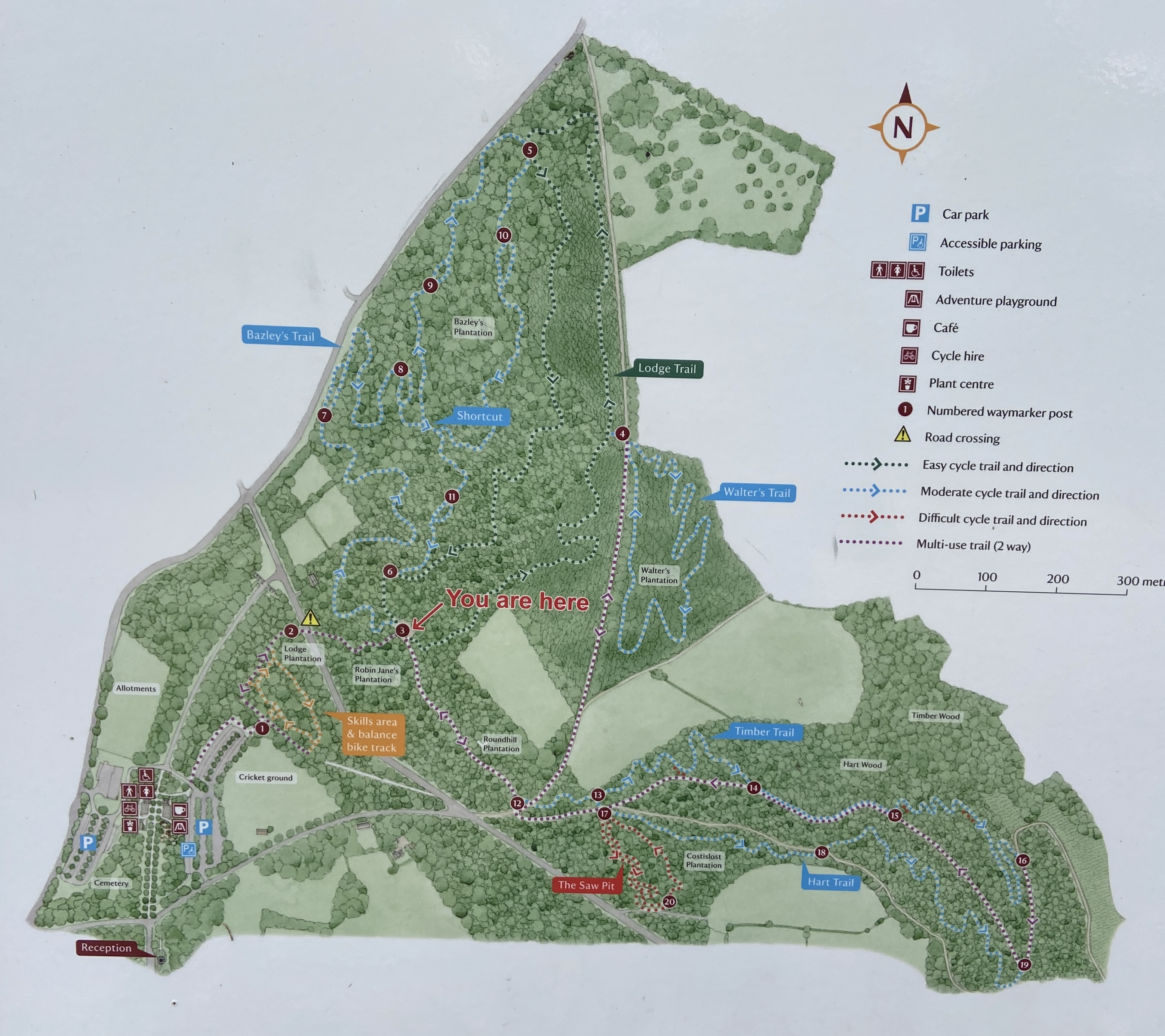 lanhydrock cycle trails