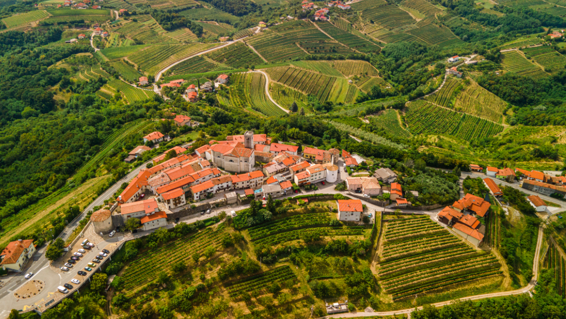 Goriska Brda