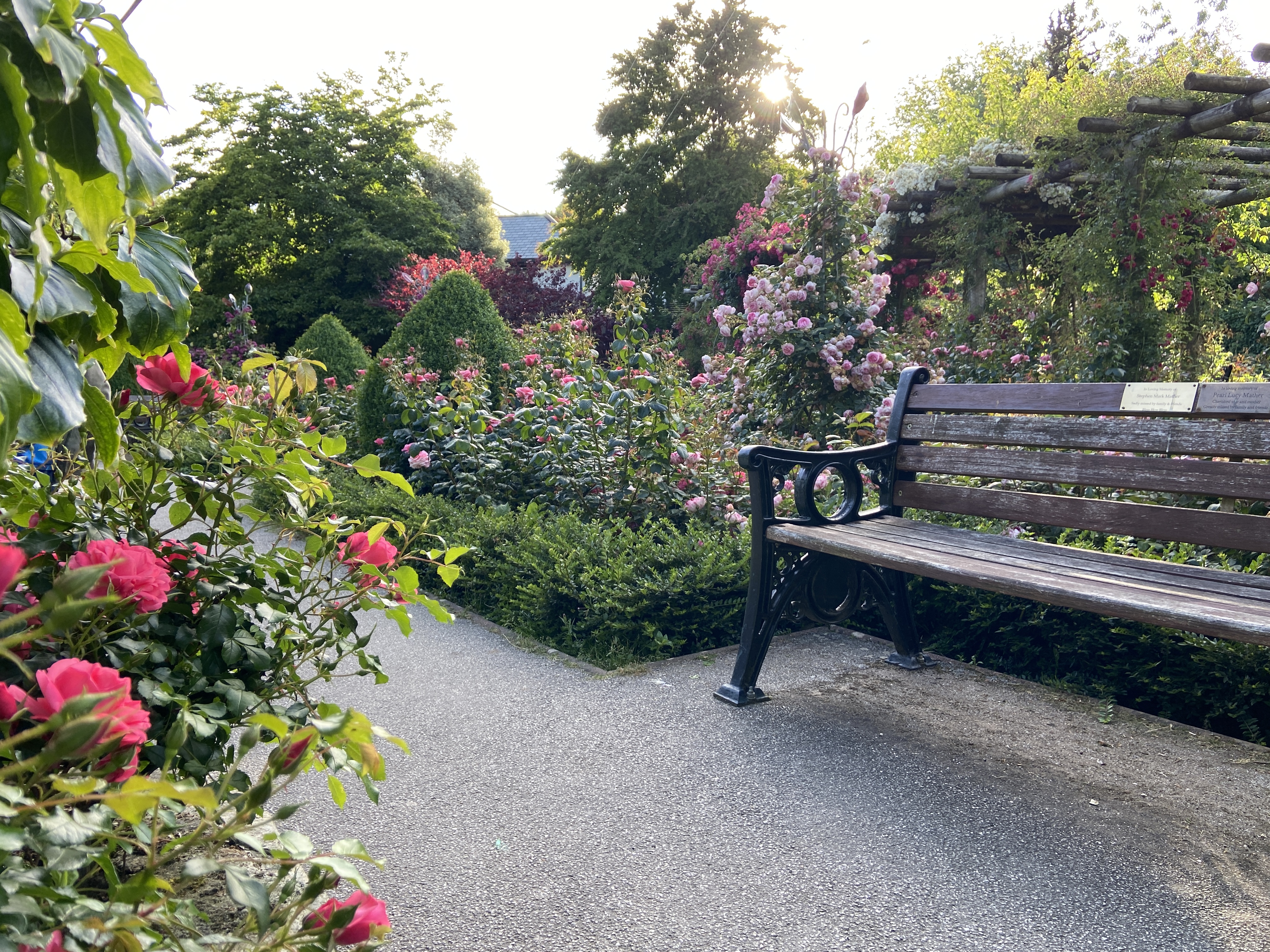 Memorial bench in Trenance rose gardens