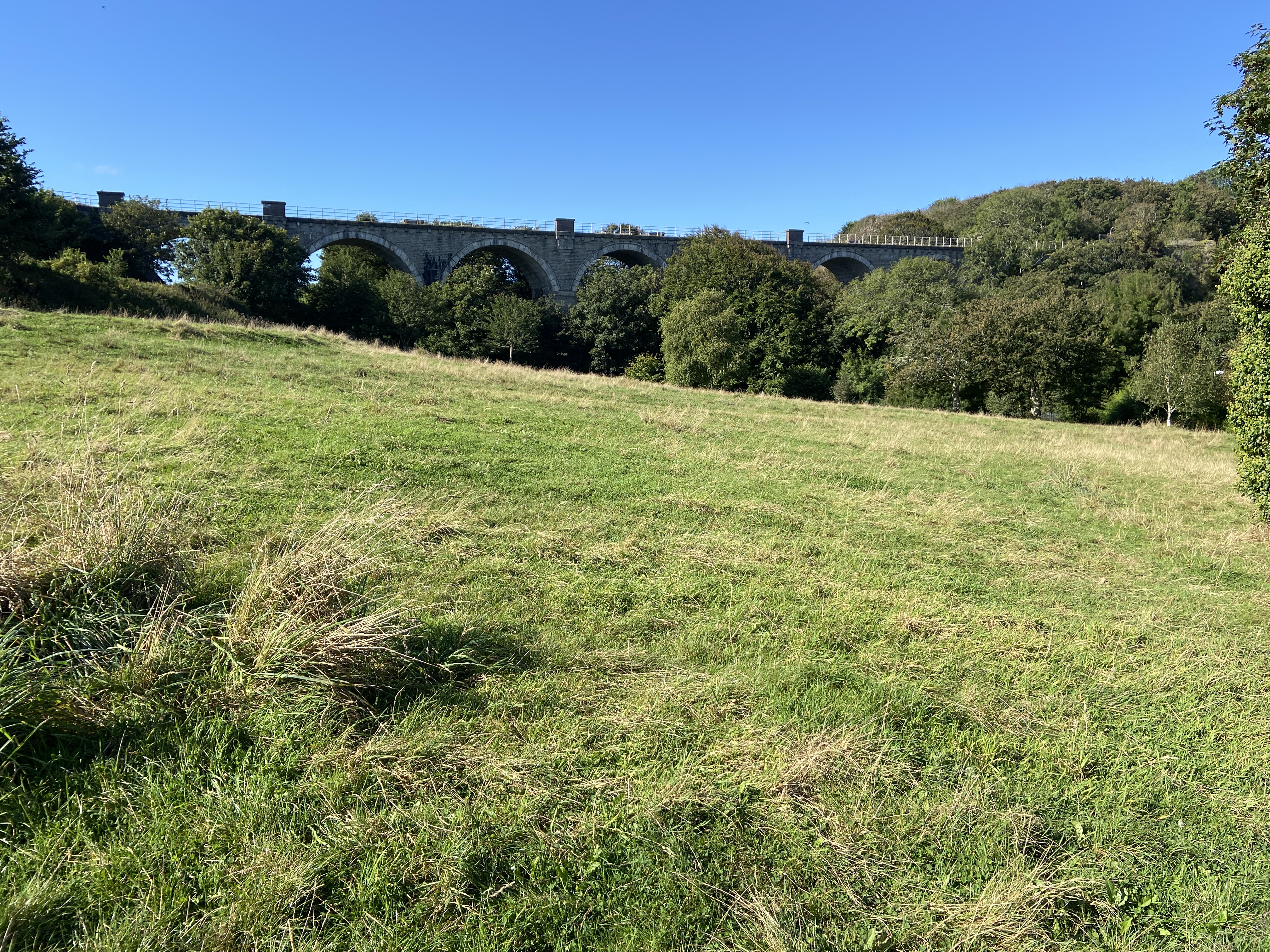 Sunny summer scene of Newquay Viaduct from Trenance Leisure Park
