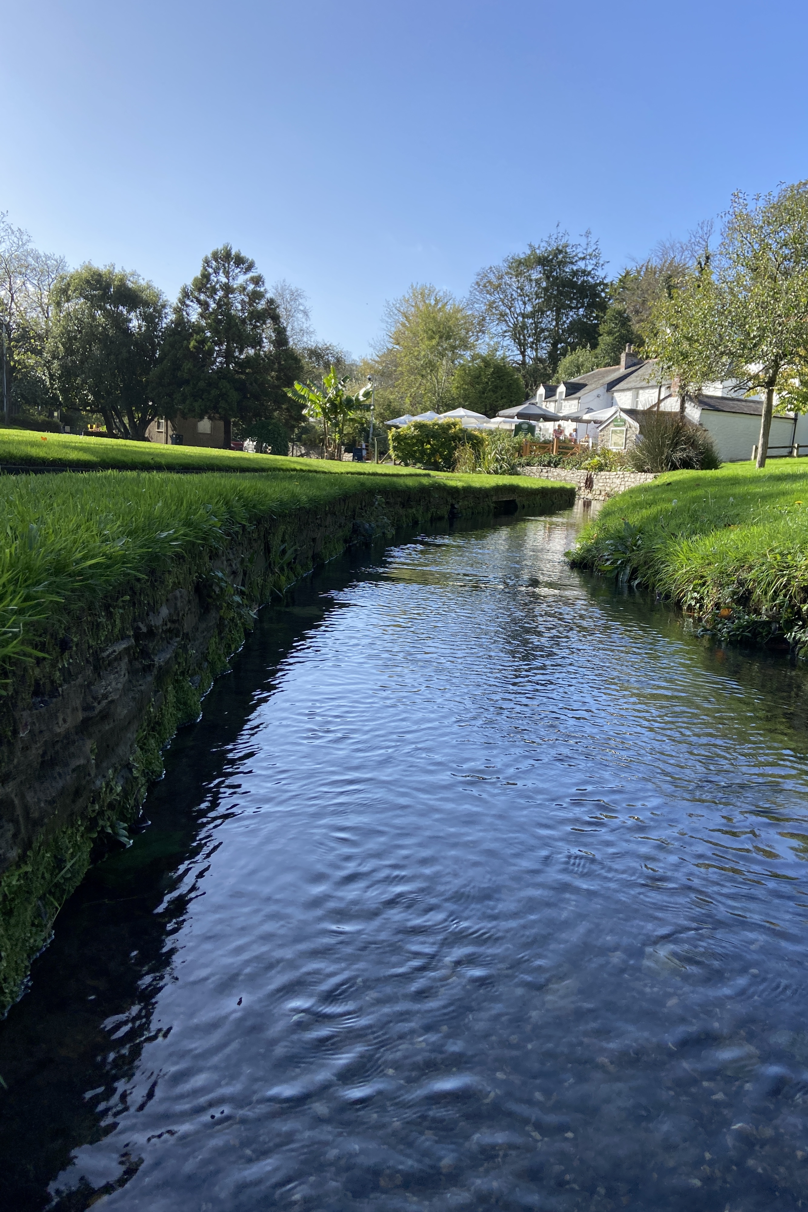 Trenance Gardens Brook