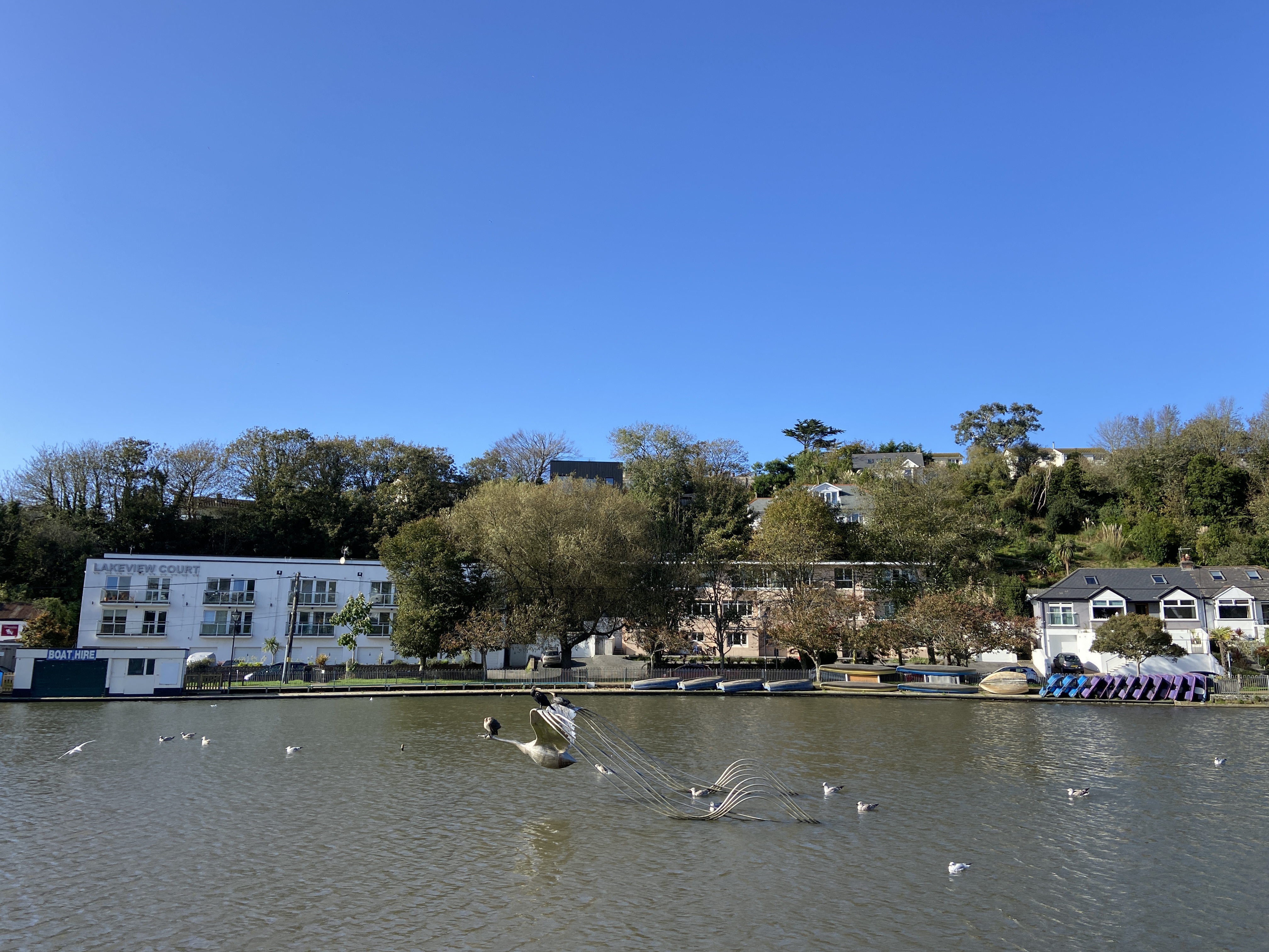Cormorants perching on flying swan sculpture at Trenance Gardens and Boating Lake in Newquay