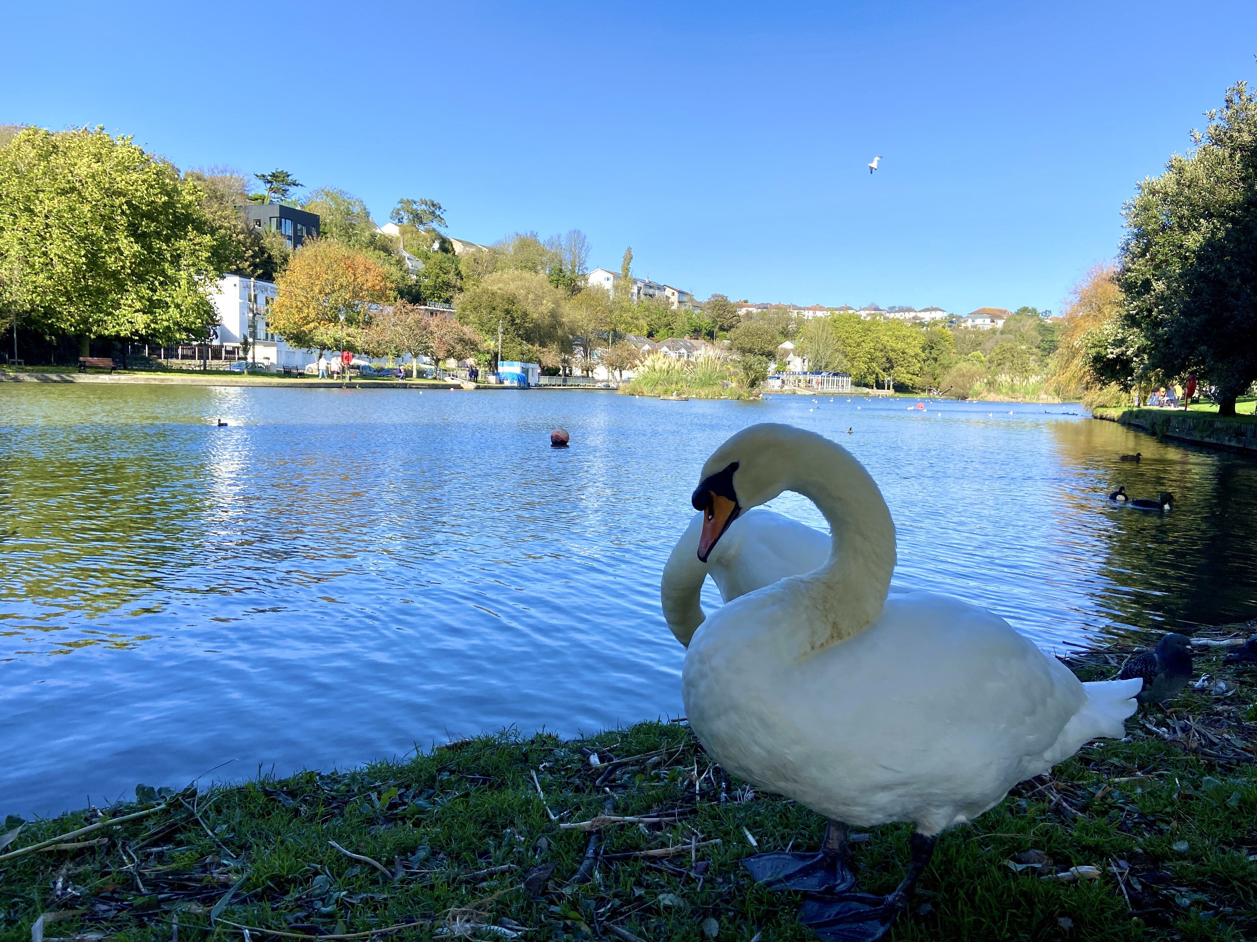 Trenance Gardens and Boating Lake in Newquay Review