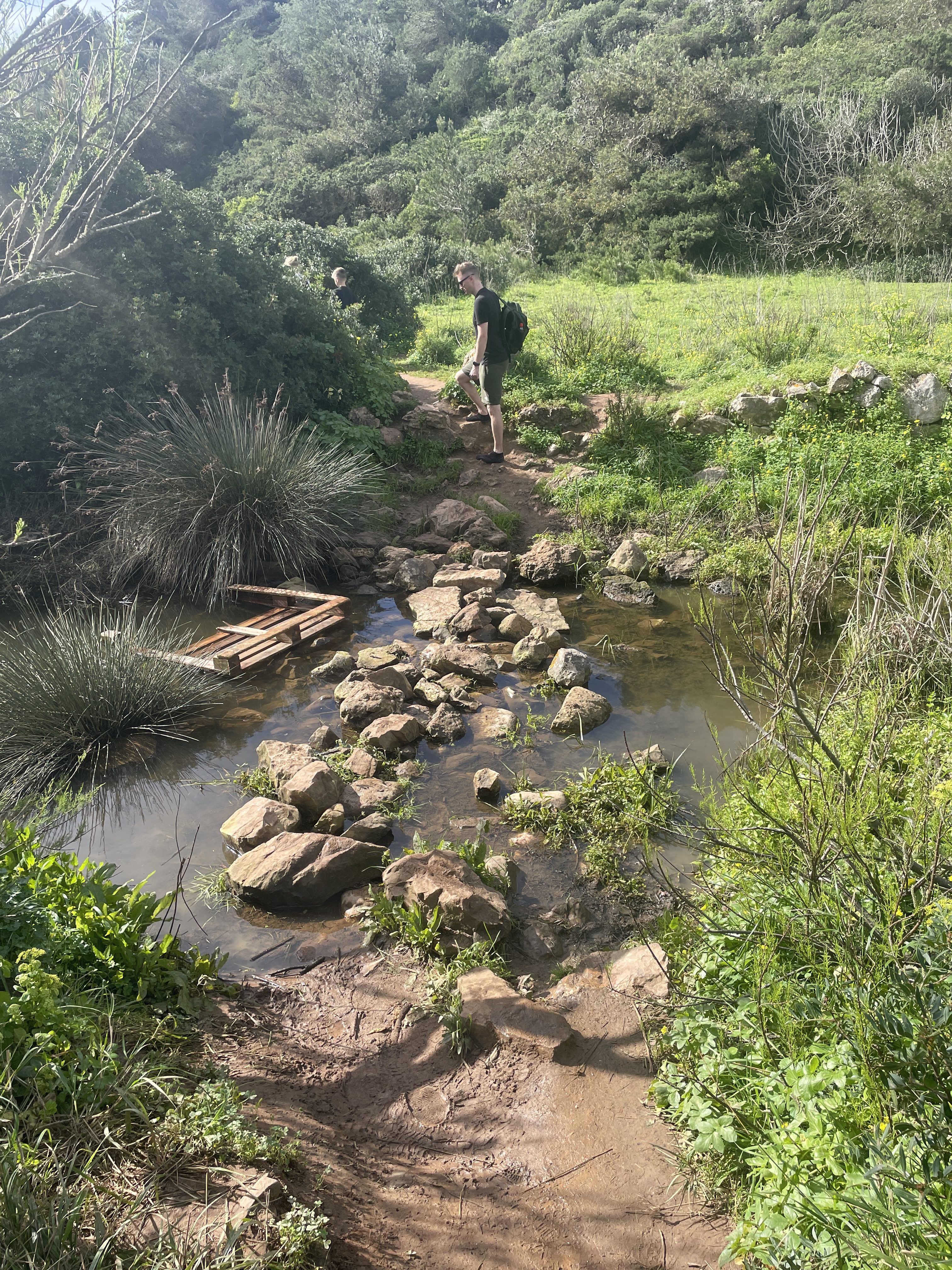 Stepping stones to get to Praia da Figueira