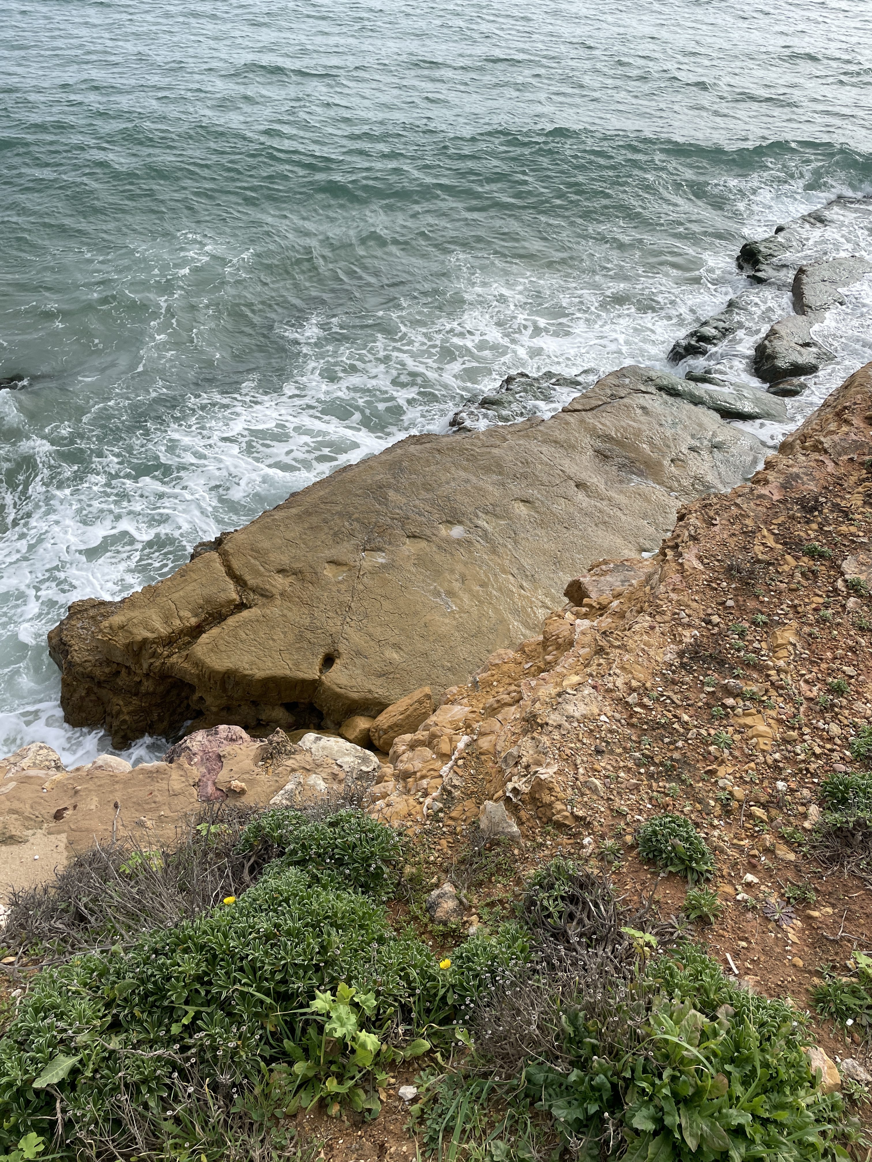 Dinosaur footprints in Salema, Portugal