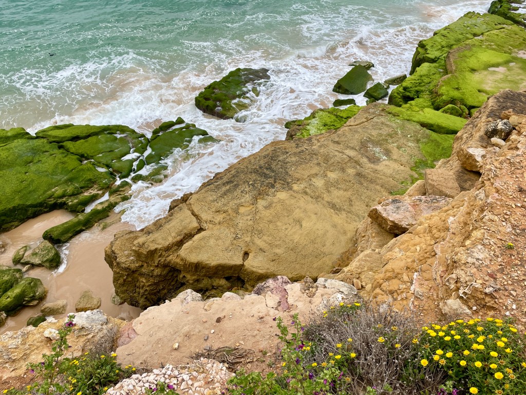 View of the Salema dinosaur footprints from the cliff path above in April 2026