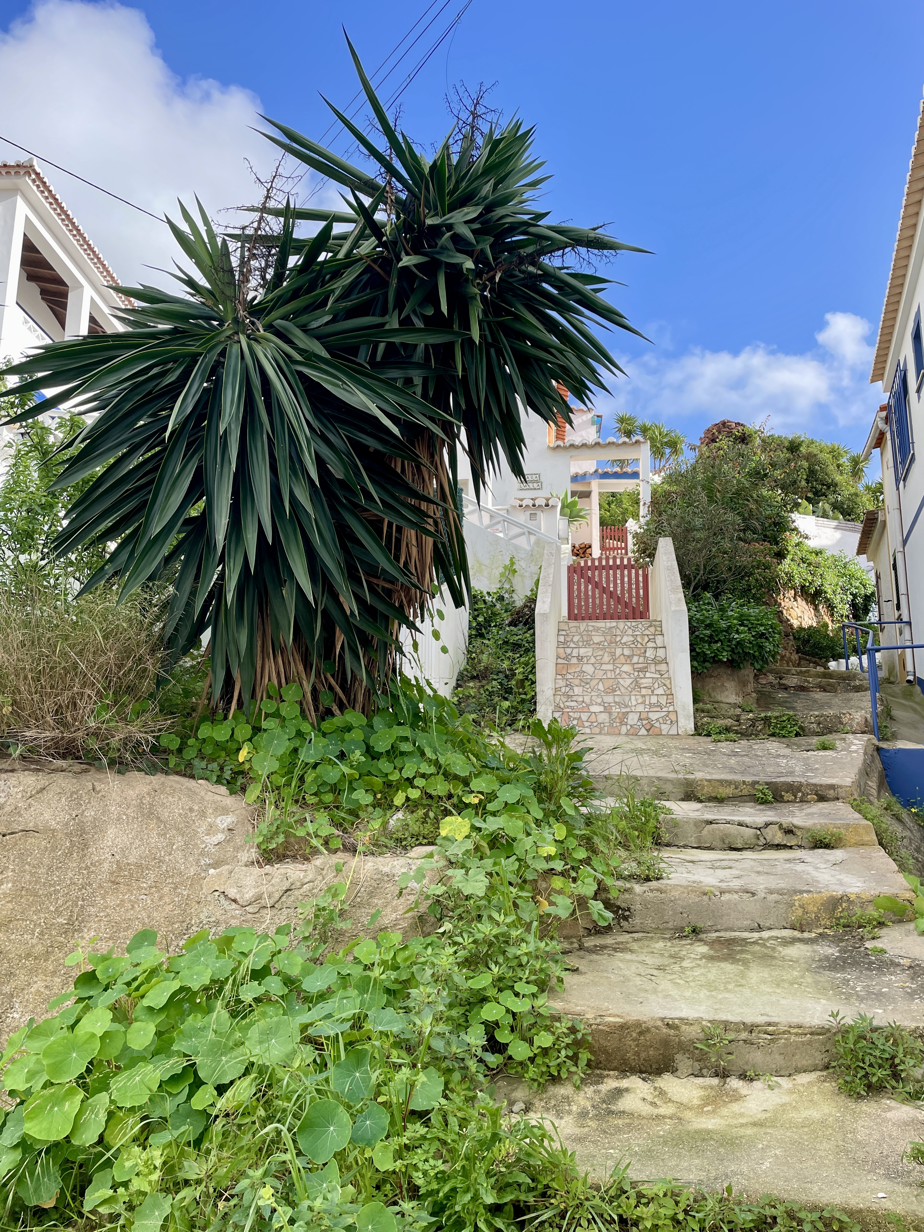 Streets and houses of Salema in Portugal