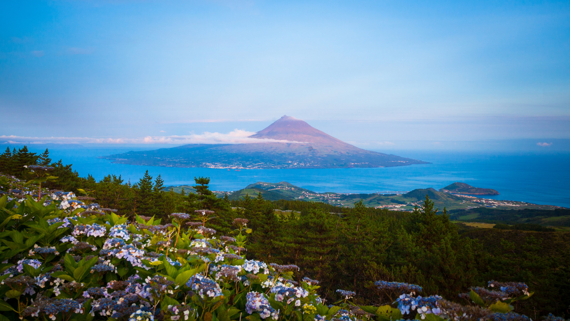 The Azores