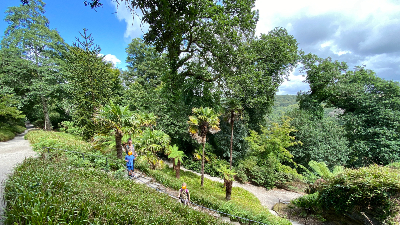 Trelissick Garden Review for Nature Loving Families in Cornwall